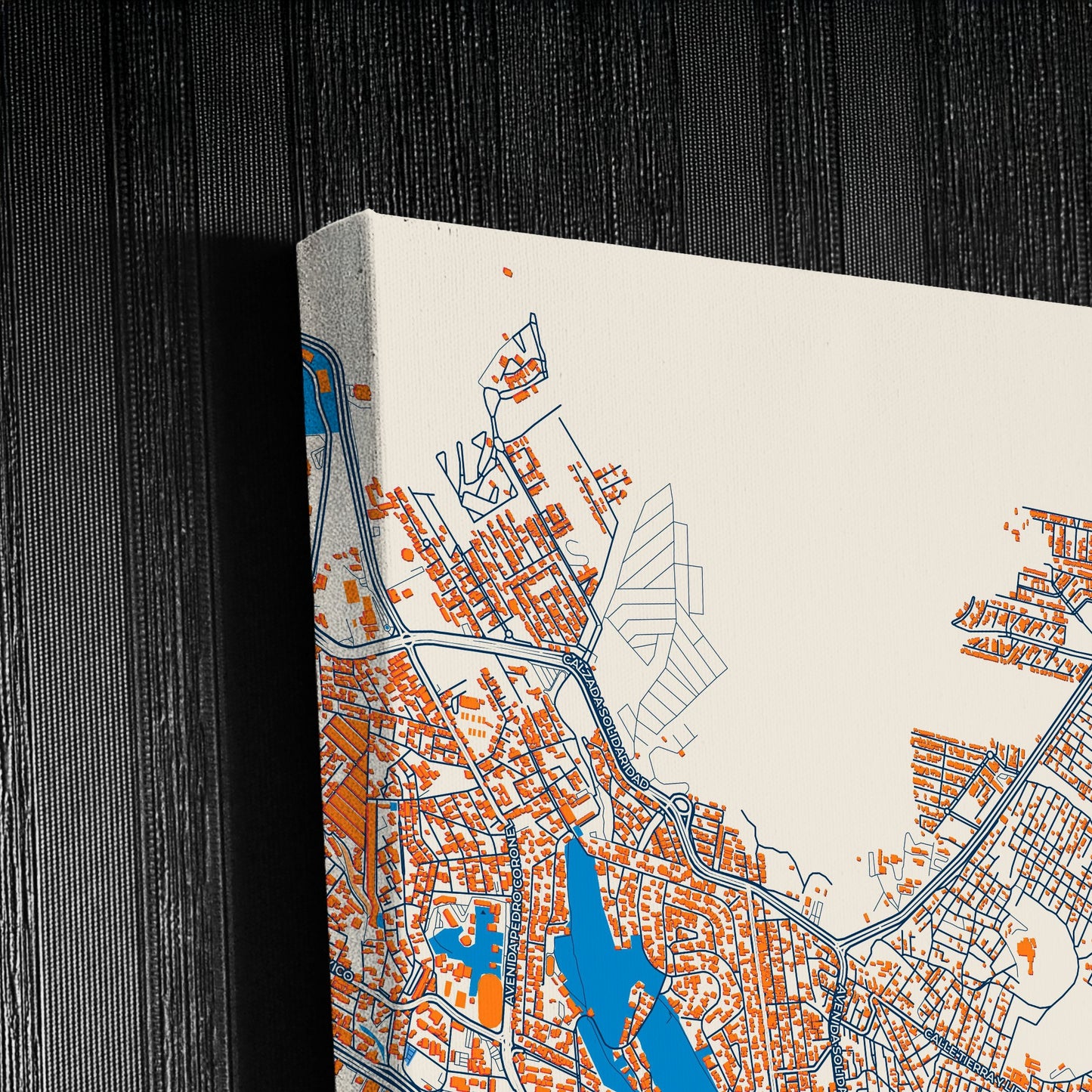 Guadalupe Mexico Colorful City Map Canvas Print Detail