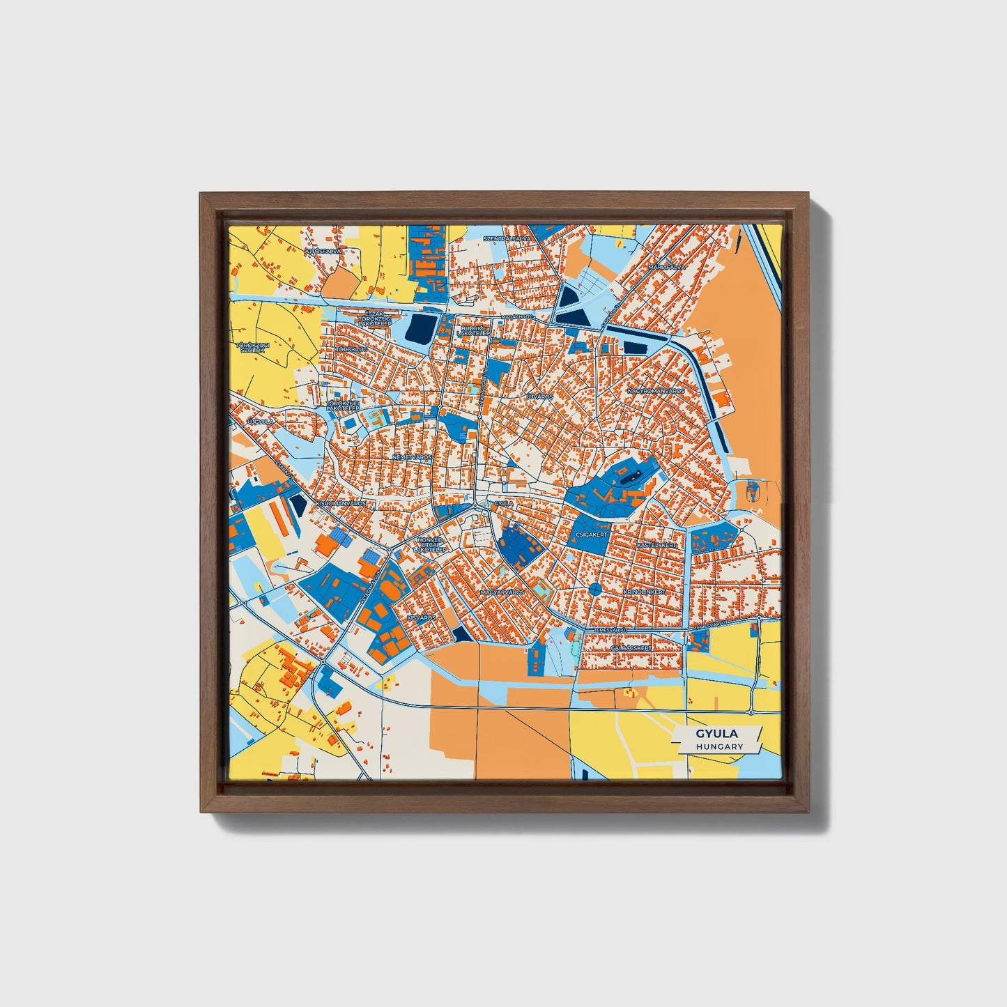 Gyula Hungary Colorful City Map Canvas Print • Dark Wooden Framed