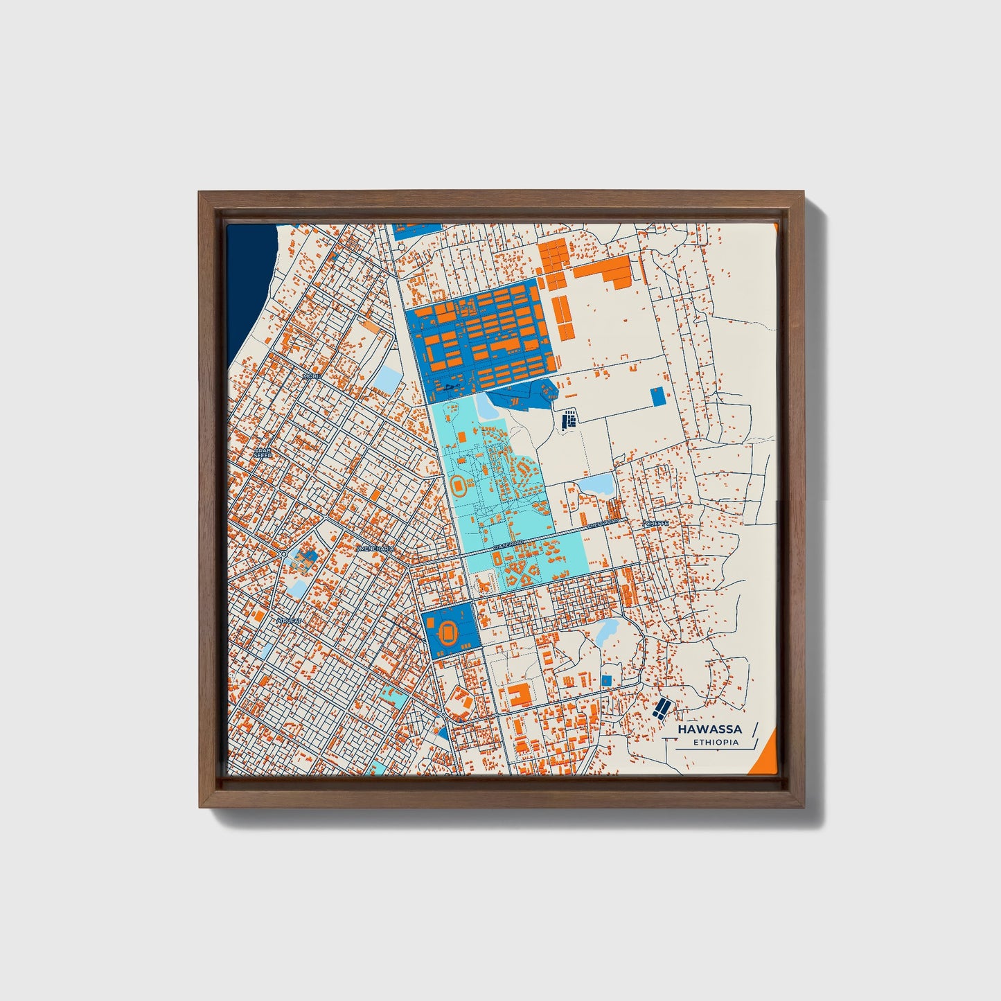 Hawassa Ethiopia Colorful City Map Canvas Print • Dark Wooden Framed