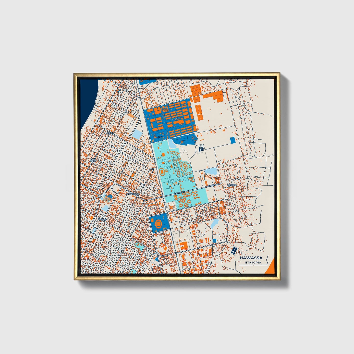 Hawassa Ethiopia Colorful City Map Canvas Print • Gold Framed