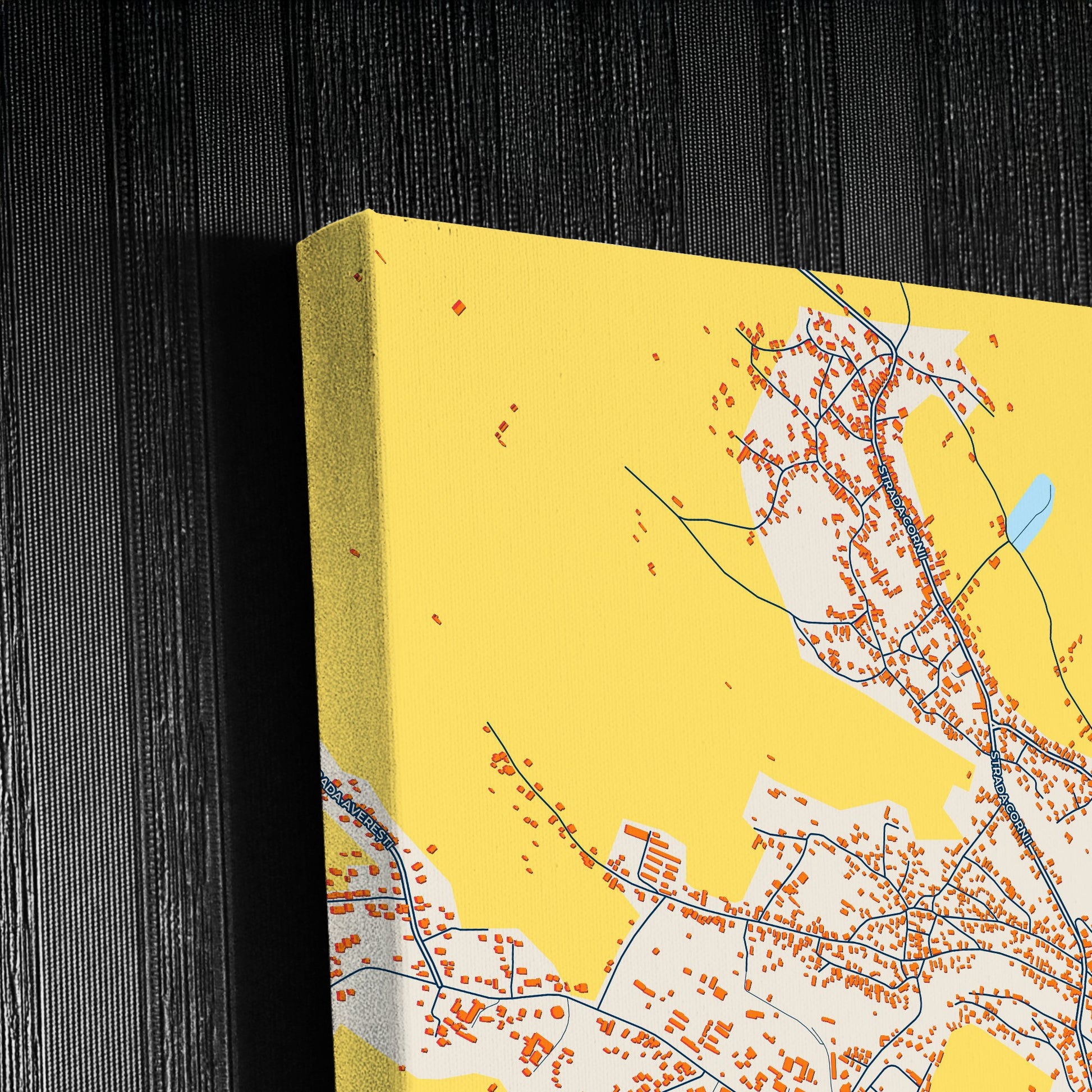 Huși Romania Colorful City Map Canvas Print Detail
