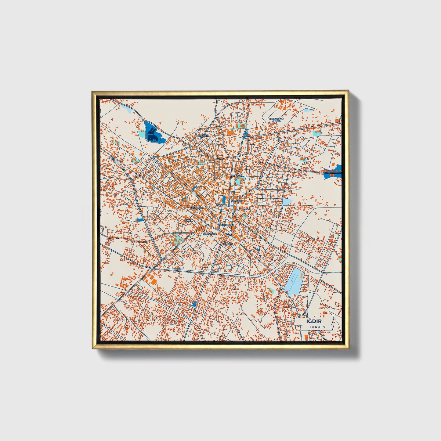 Iğdir Turkey Colorful City Map Canvas Print • Gold Framed