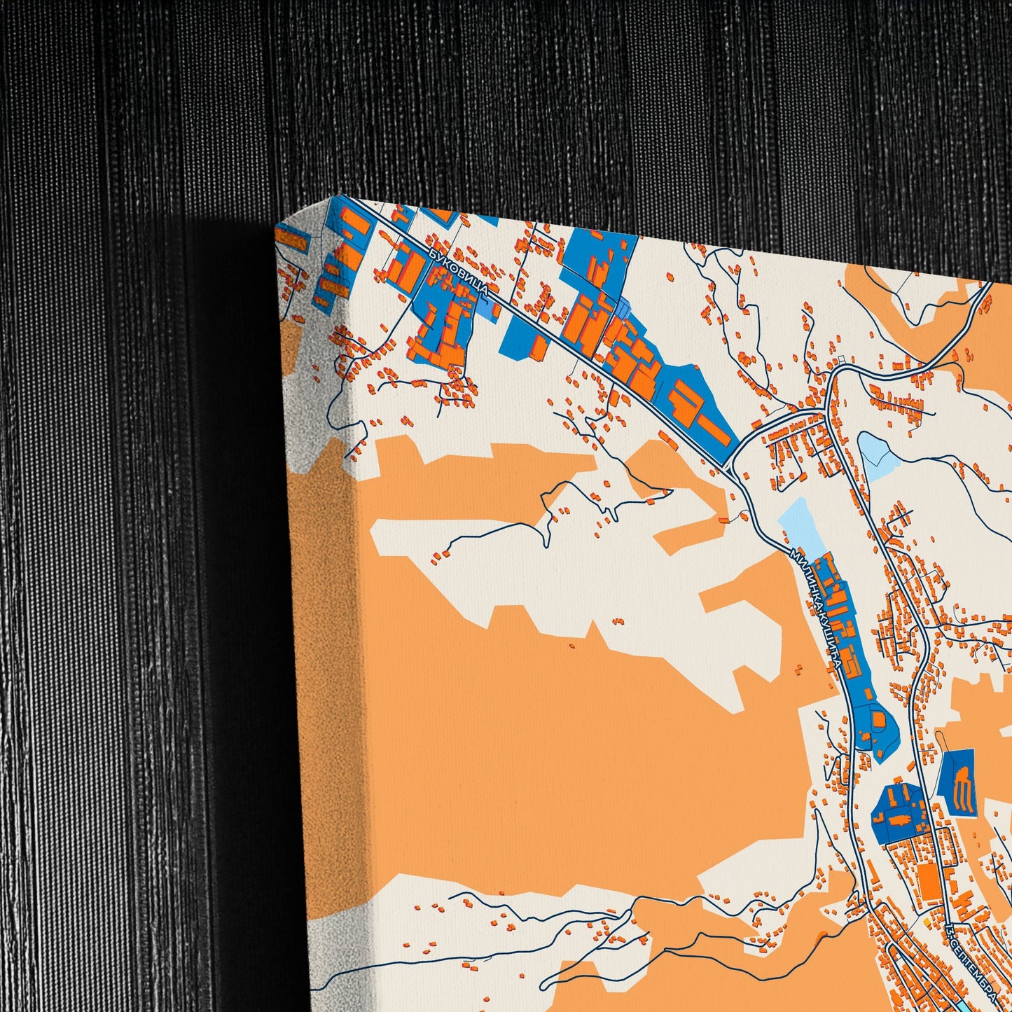 Ивањица Serbia Colorful City Map Canvas Print Detail