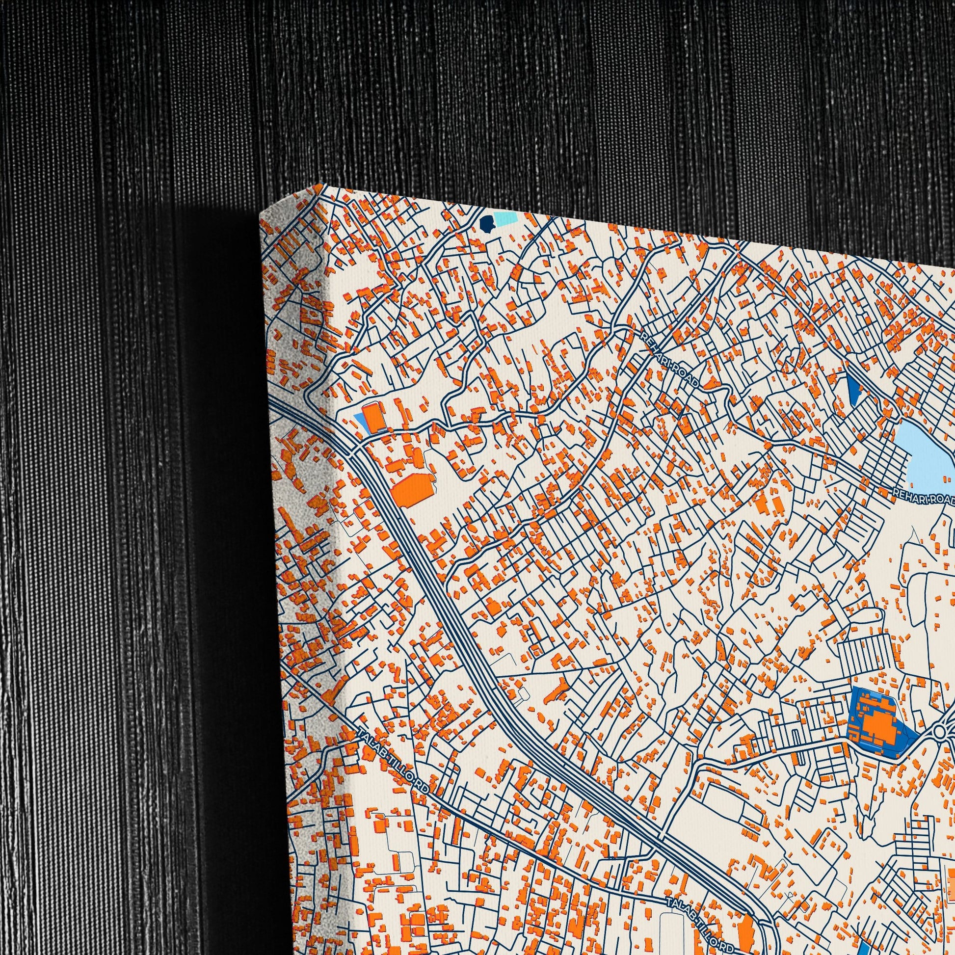 Jammu India Colorful City Map Canvas Print Detail