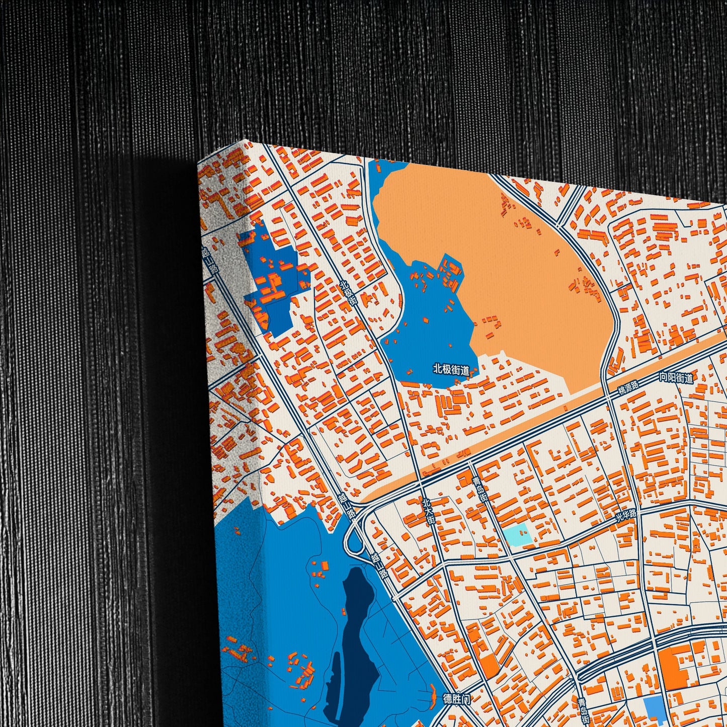 Jilin City China Colorful City Map Canvas Print Detail