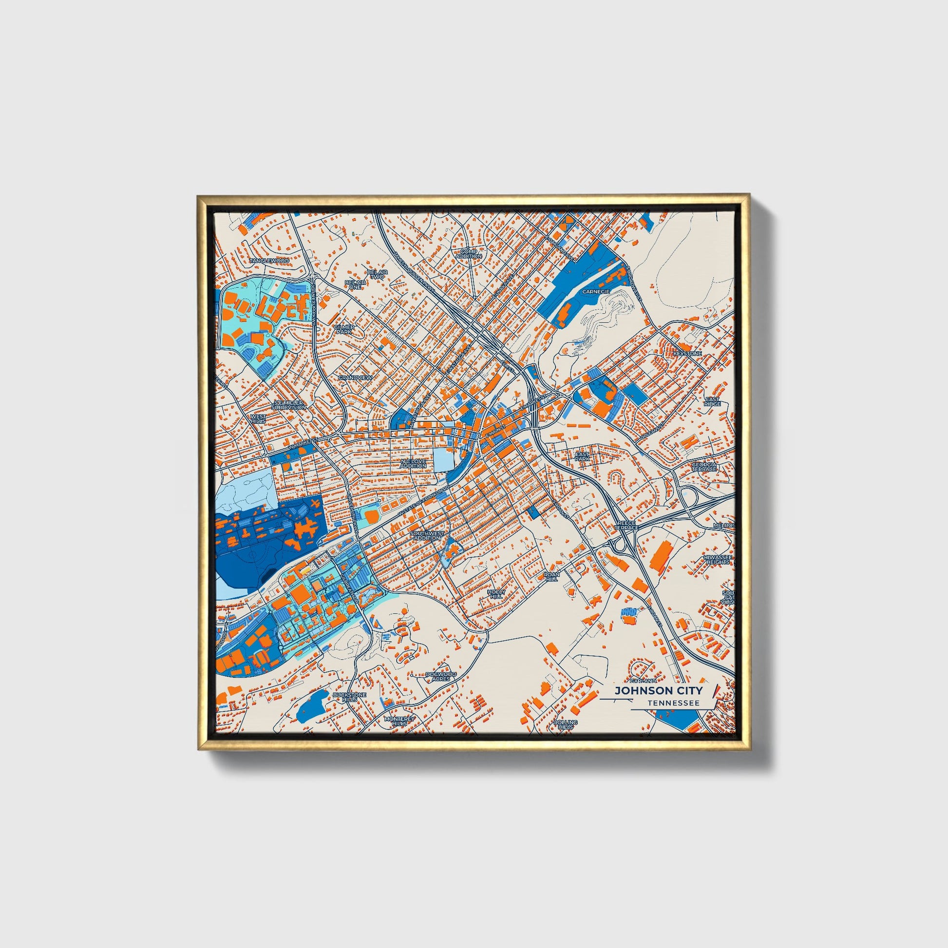 Johnson City Tennessee Colorful City Map Canvas Print • Gold Framed