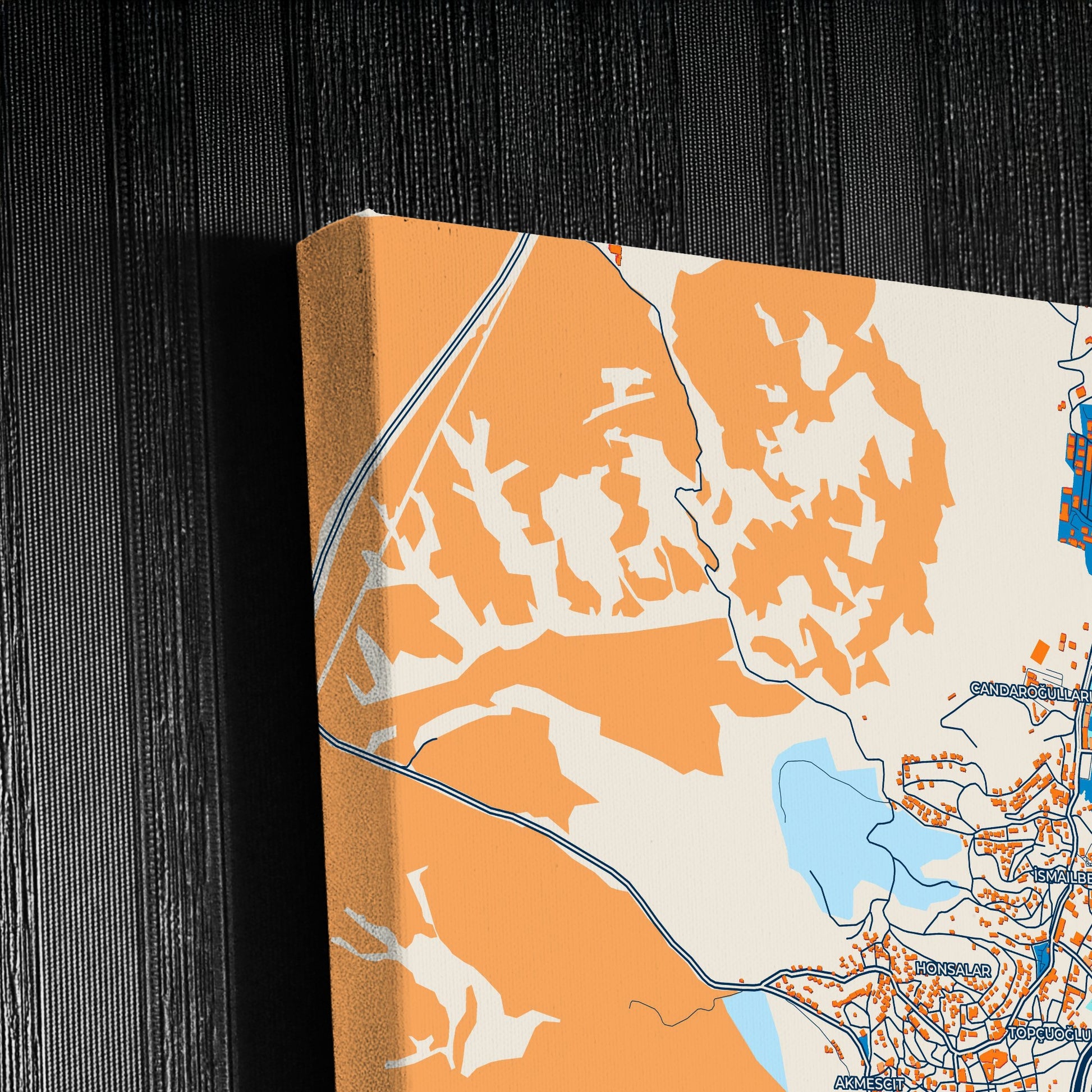 Kastamonu Turkey Colorful City Map Canvas Print Detail