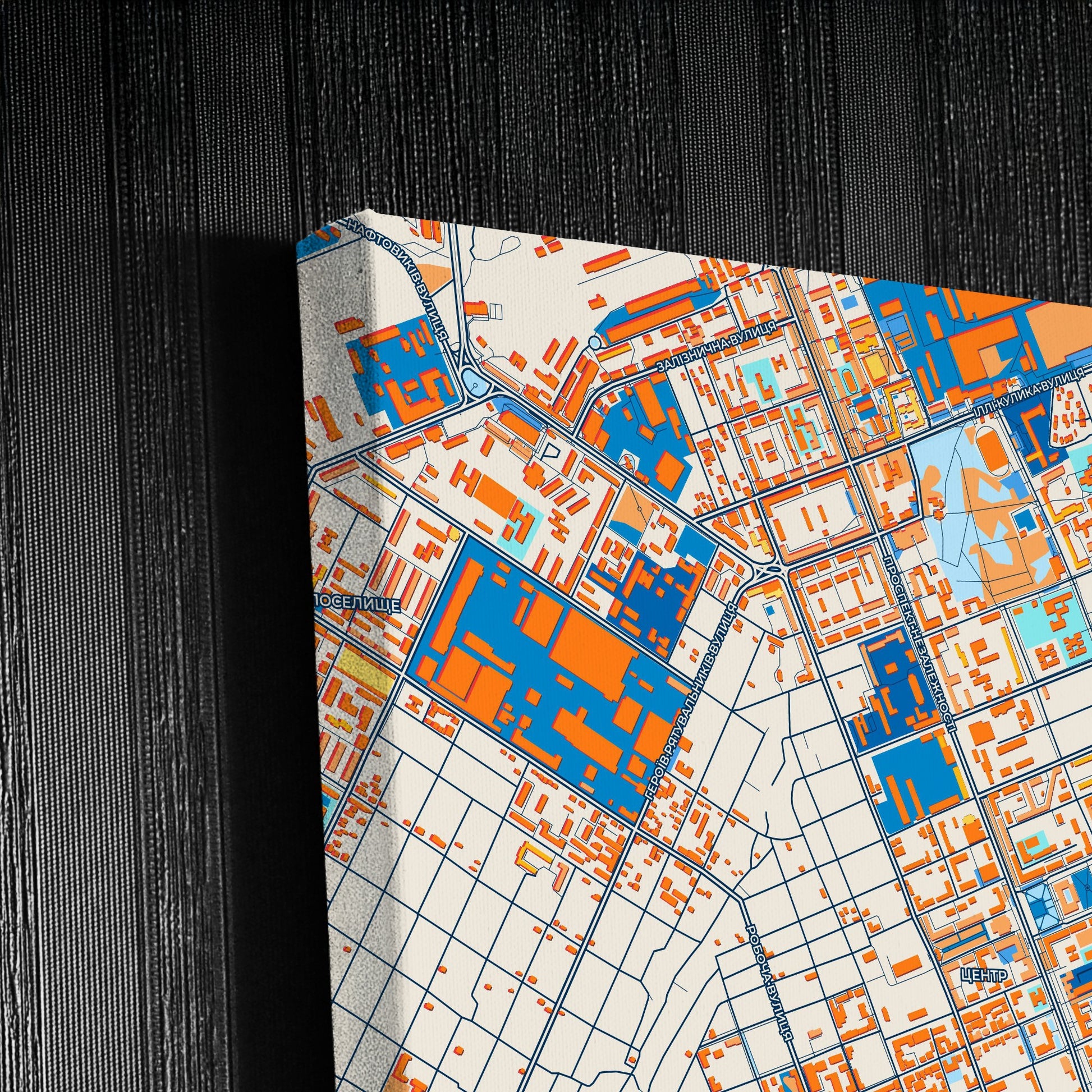 Херсон Ukraine Colorful City Map Canvas Print Detail