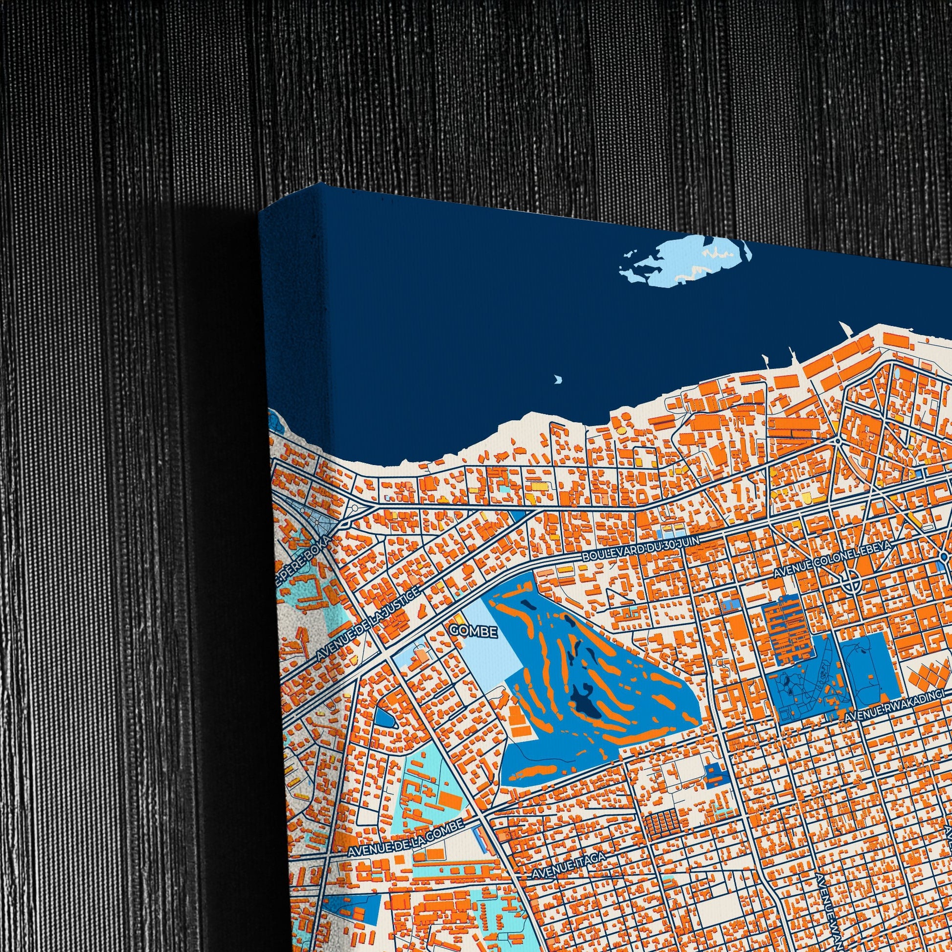 Kinshasa Dr Congo Colorful City Map Canvas Print Detail