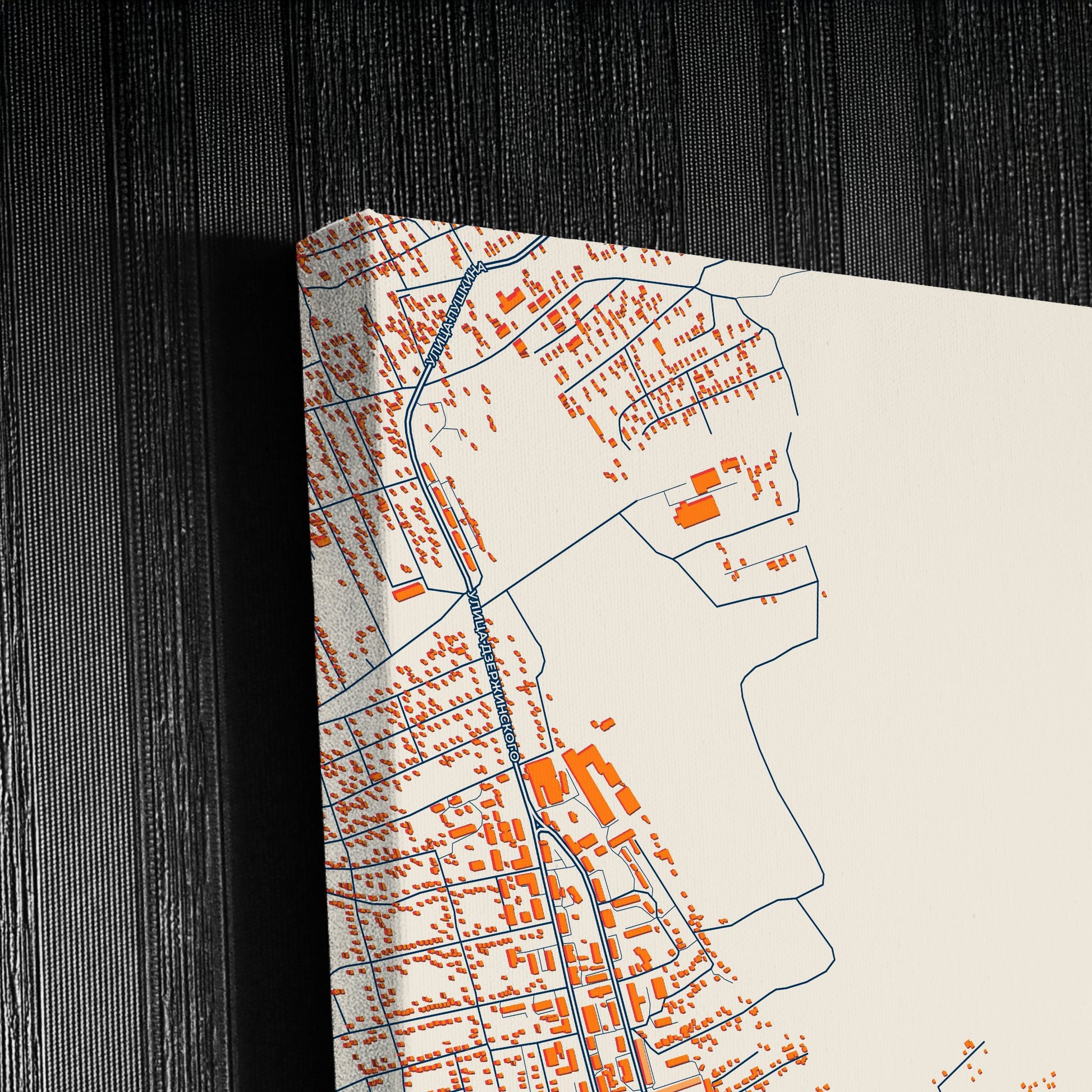 Киселевск Russia Colorful City Map Canvas Print Detail