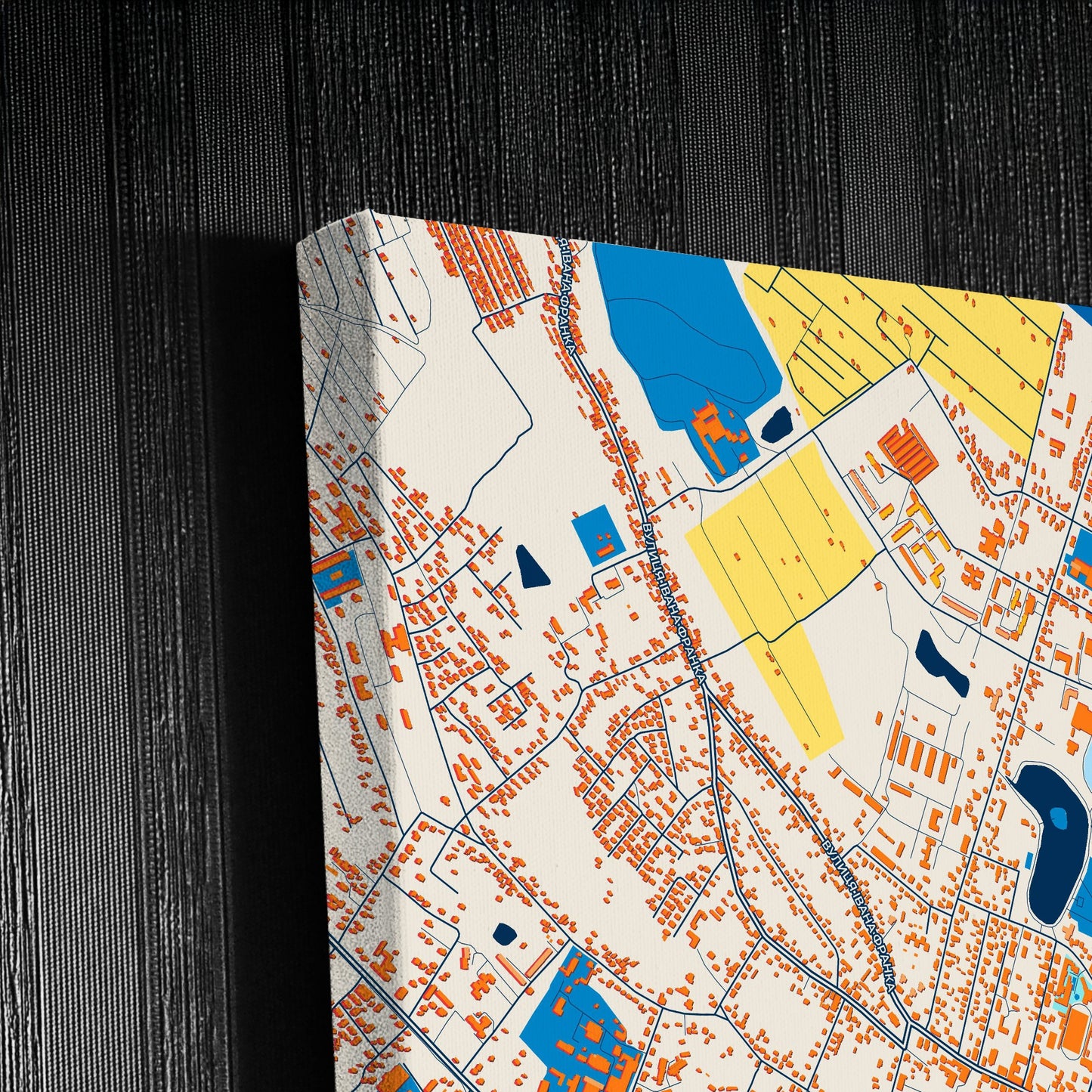 Коломія Ukraine Colorful City Map Canvas Print Detail
