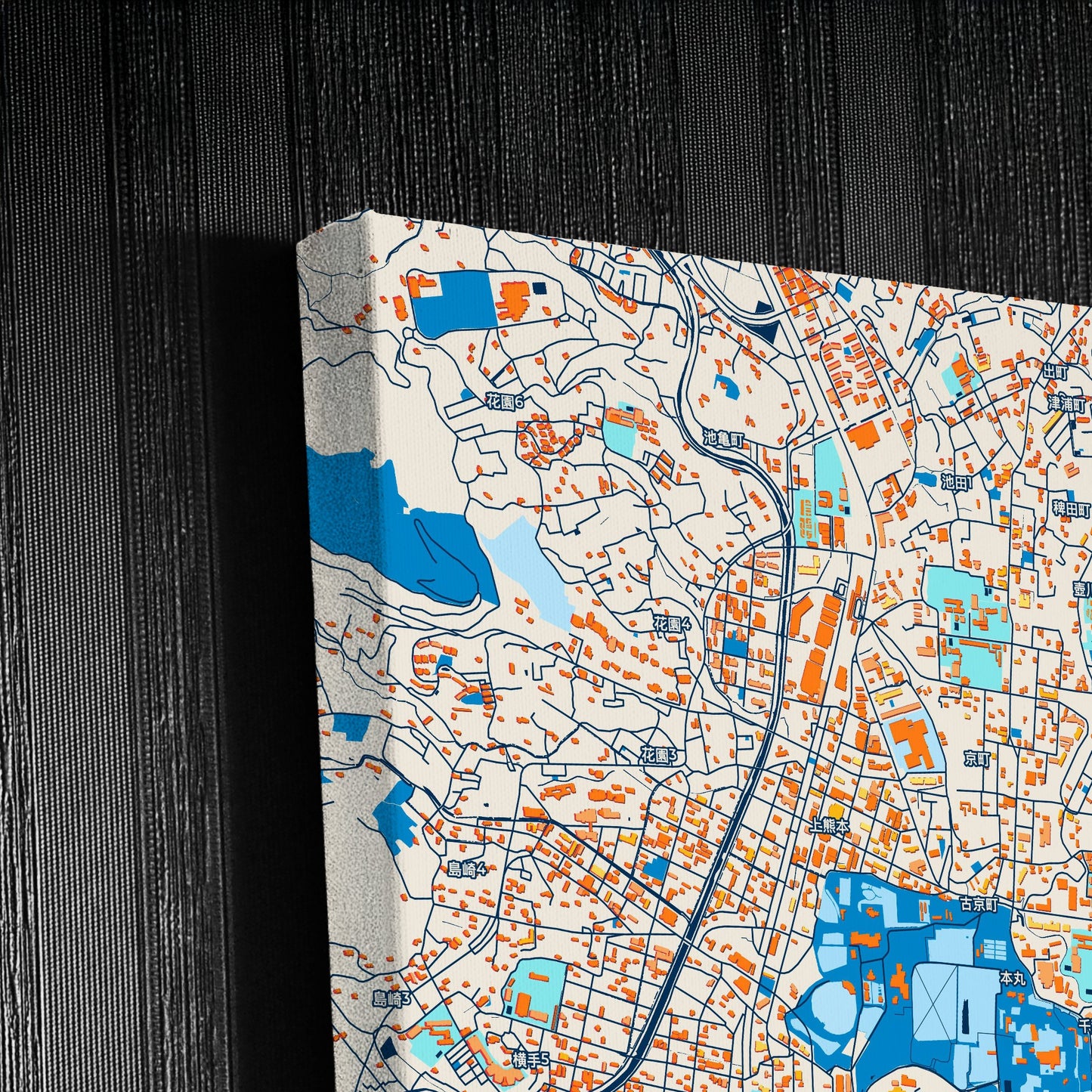 Kumamoto Japan Colorful City Map Canvas Print Detail