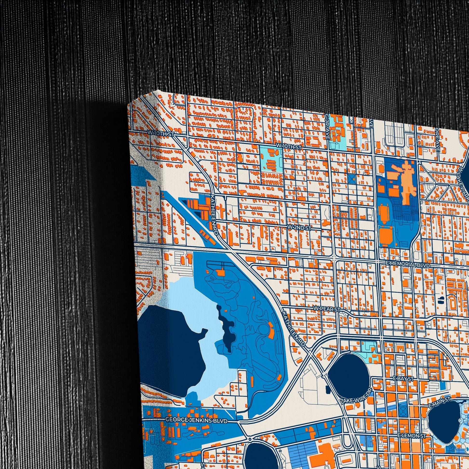 Lakeland Florida Colorful City Map Canvas Print Detail