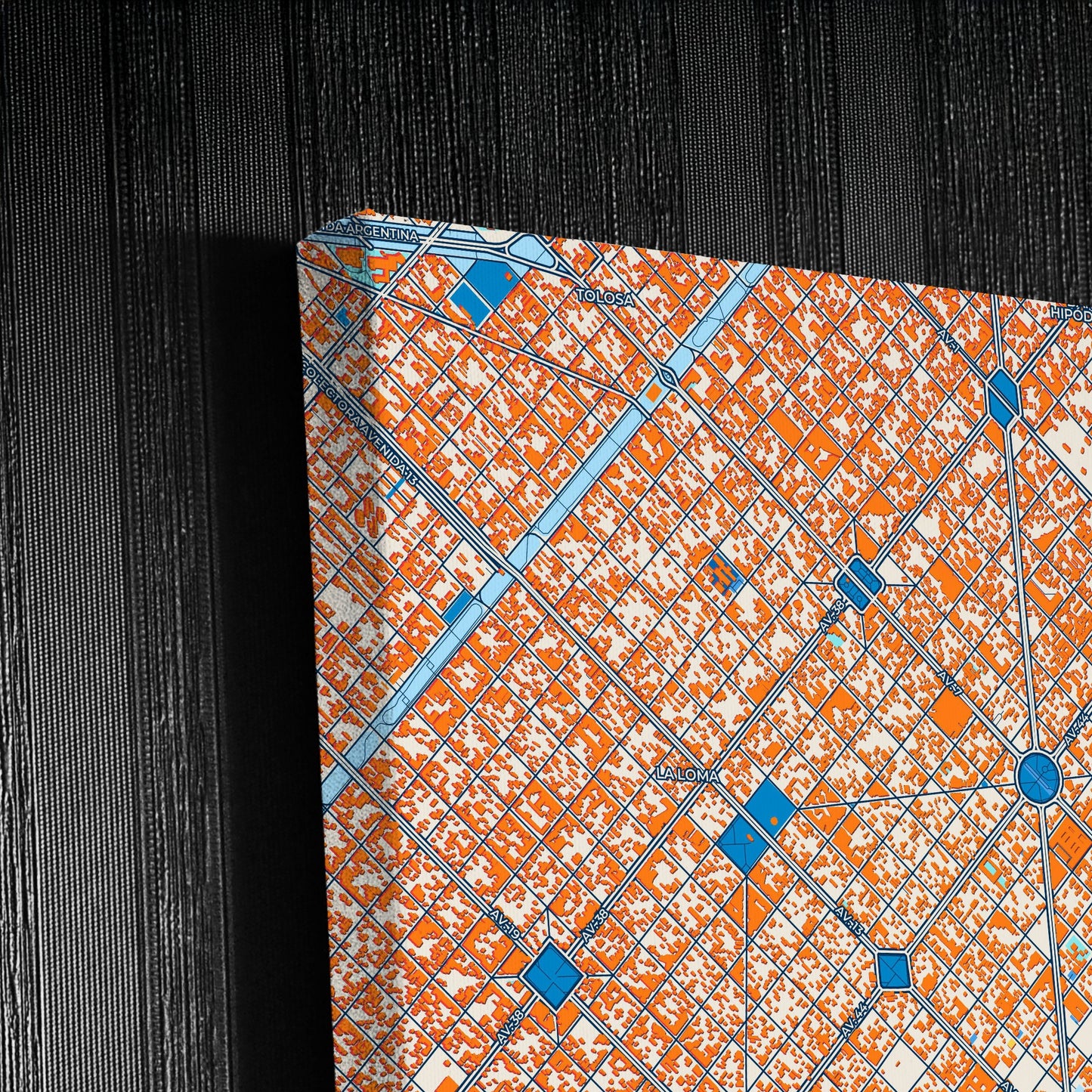 La Plata Argentina Colorful City Map Canvas Print Detail