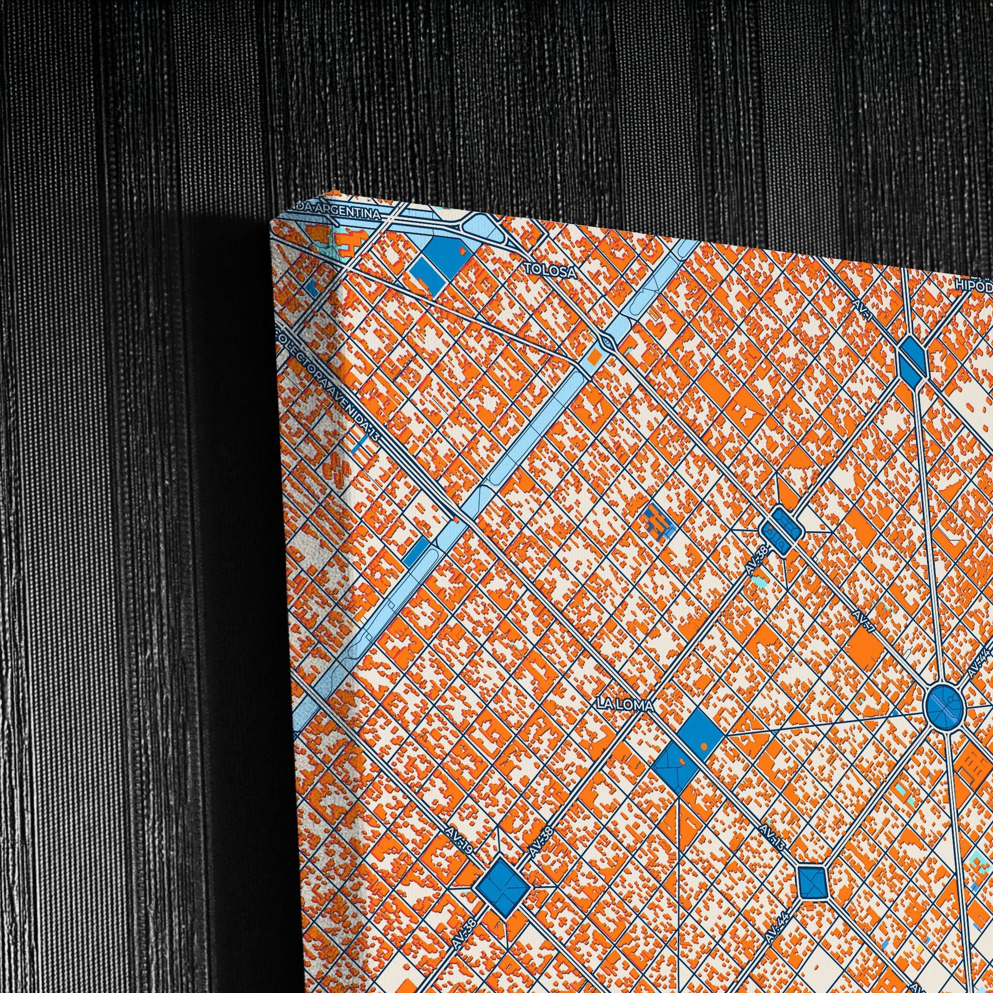 La Plata Argentina Colorful City Map Canvas Print Detail