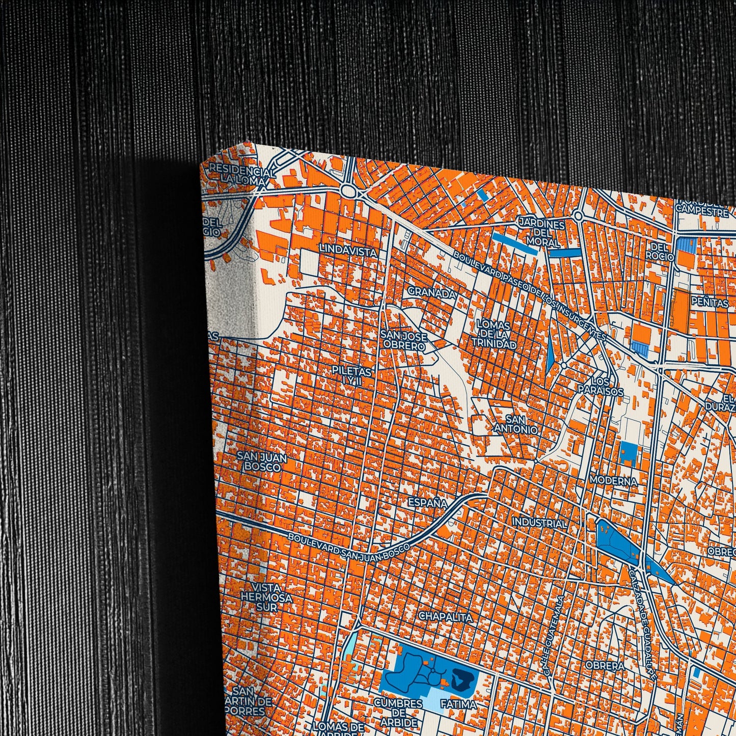 León Mexico Colorful City Map Canvas Print Detail
