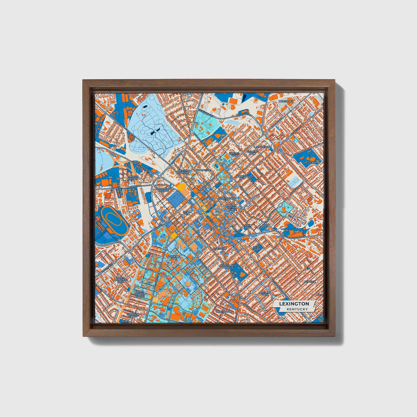 Lexington Kentucky Colorful City Map Canvas Print • Dark Wooden Framed
