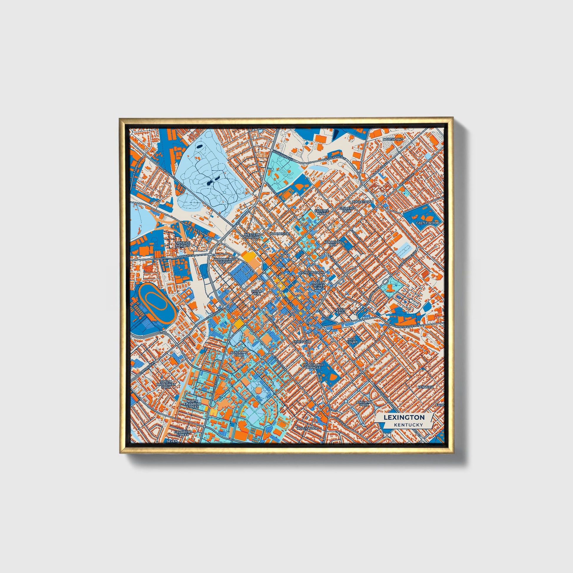 Lexington Kentucky Colorful City Map Canvas Print • Gold Framed