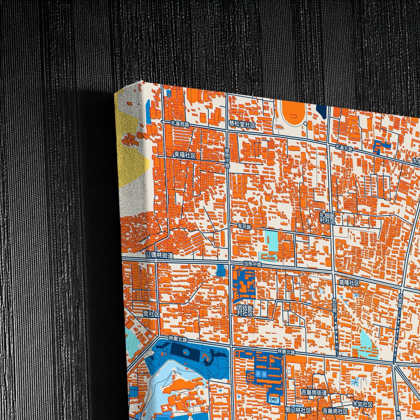 Lhasa China Colorful City Map Canvas Print Detail