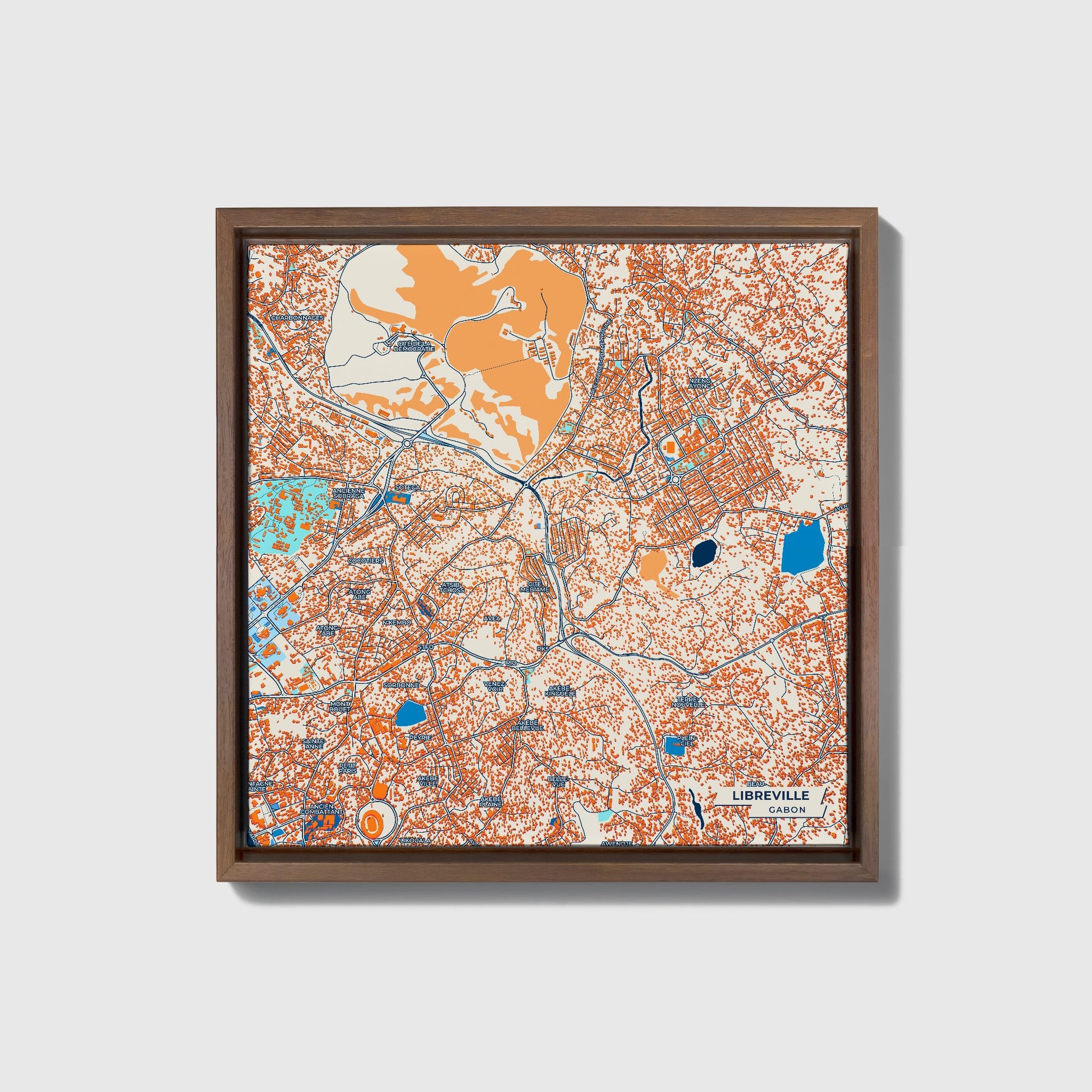 Libreville Gabon Colorful City Map Canvas Print • Dark Wooden Framed