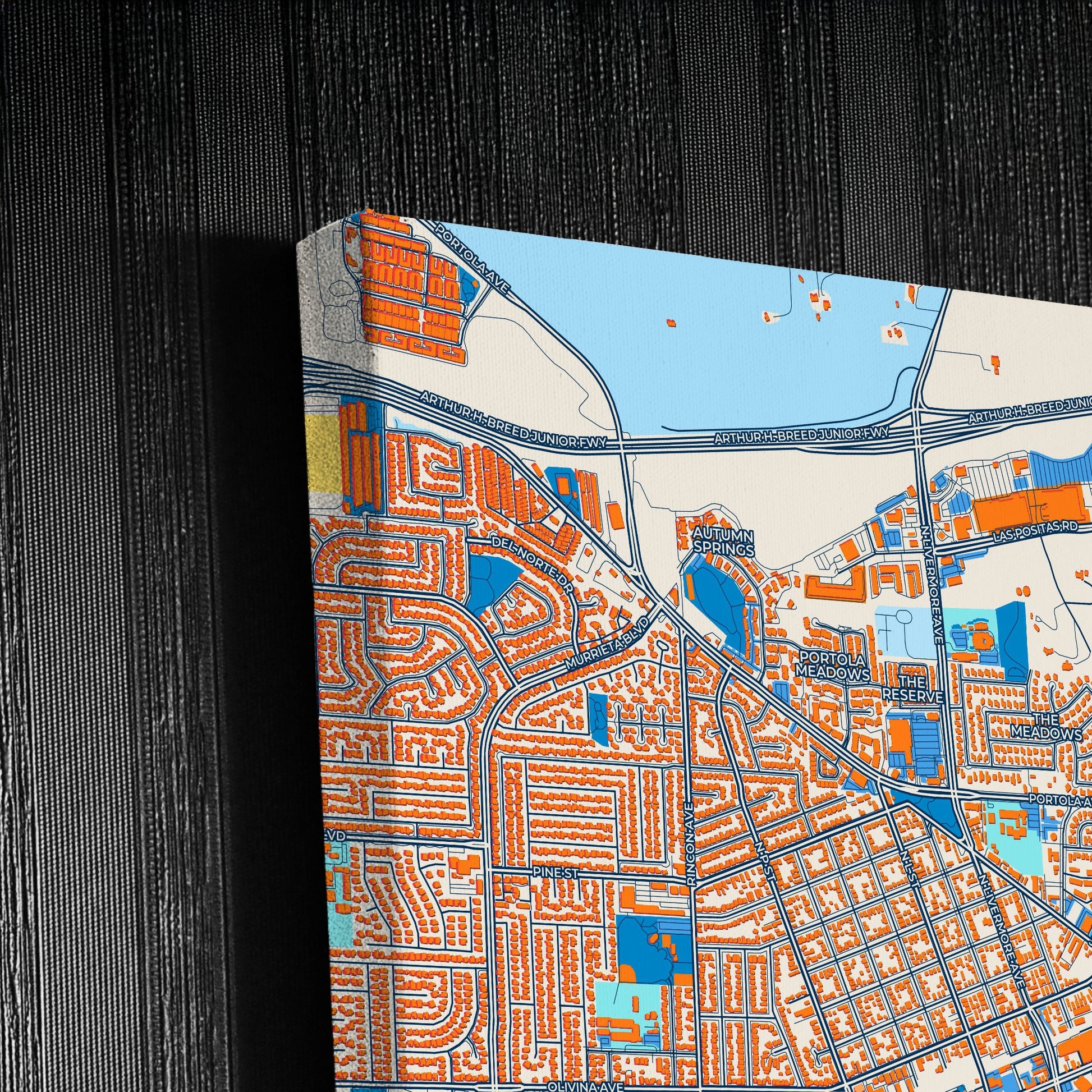Livermore California Colorful City Map Canvas Print Detail