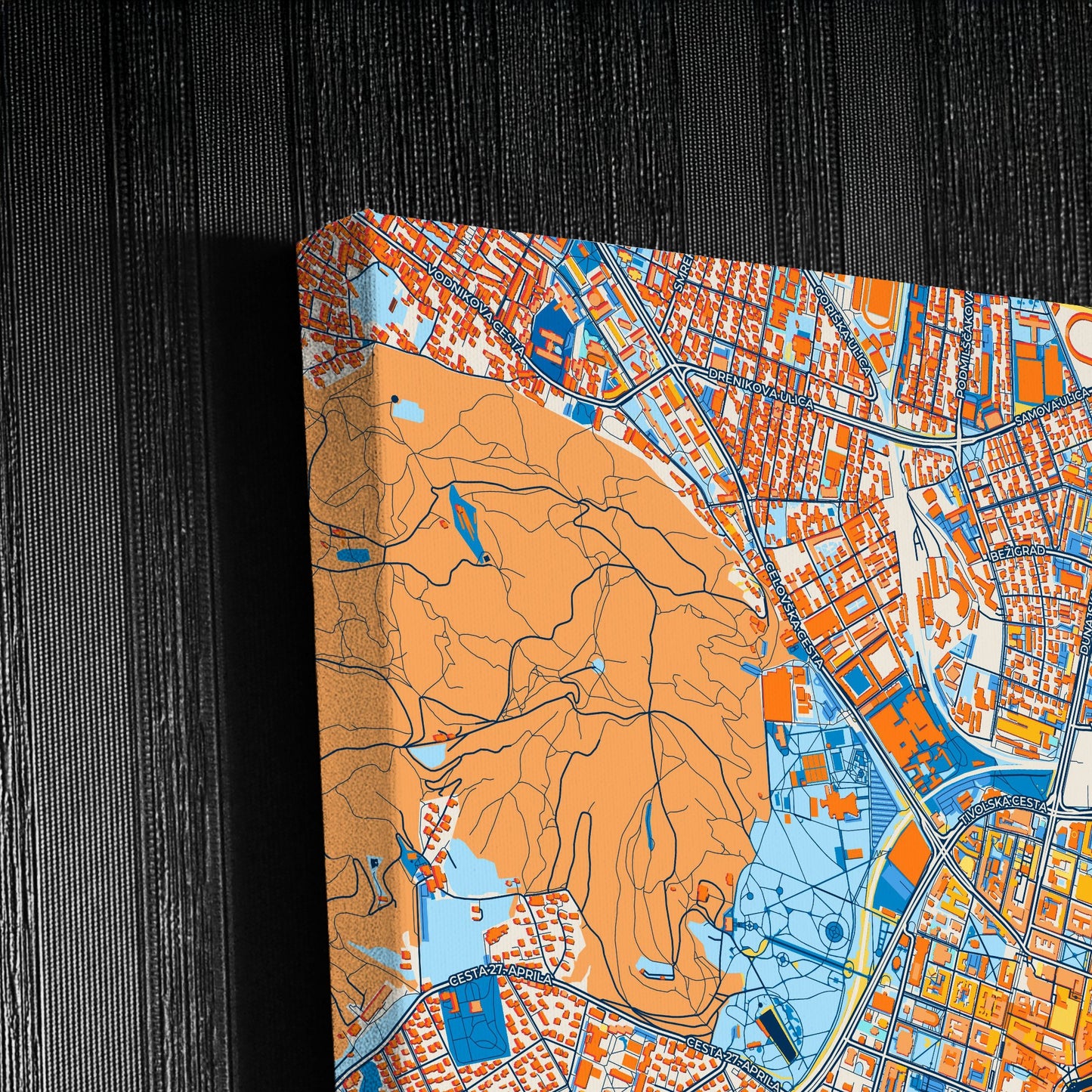 Ljubljana Slovenia Colorful City Map Canvas Print Detail
