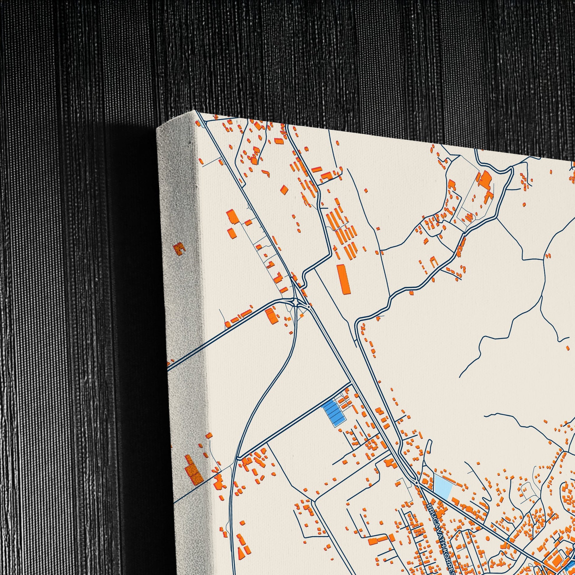 Lushnjë Albania Colorful City Map Canvas Print Detail