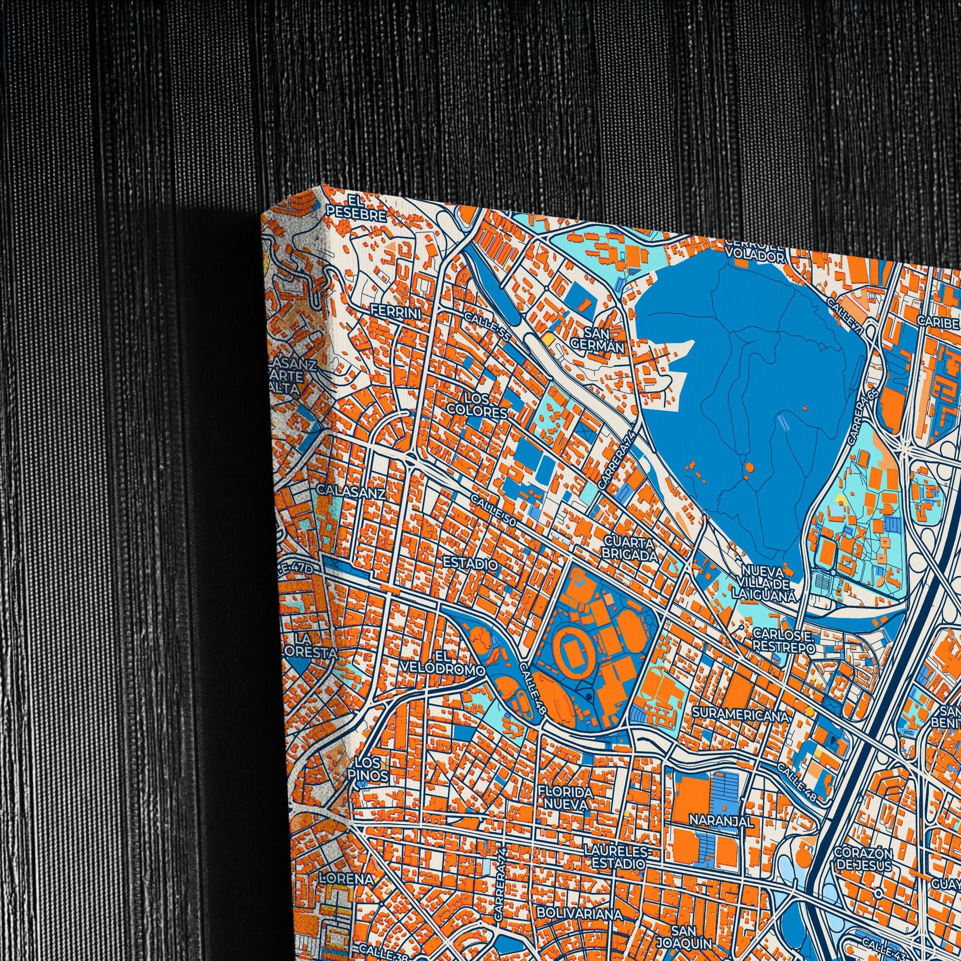 Medellin Colombia Colorful City Map Canvas Print Detail