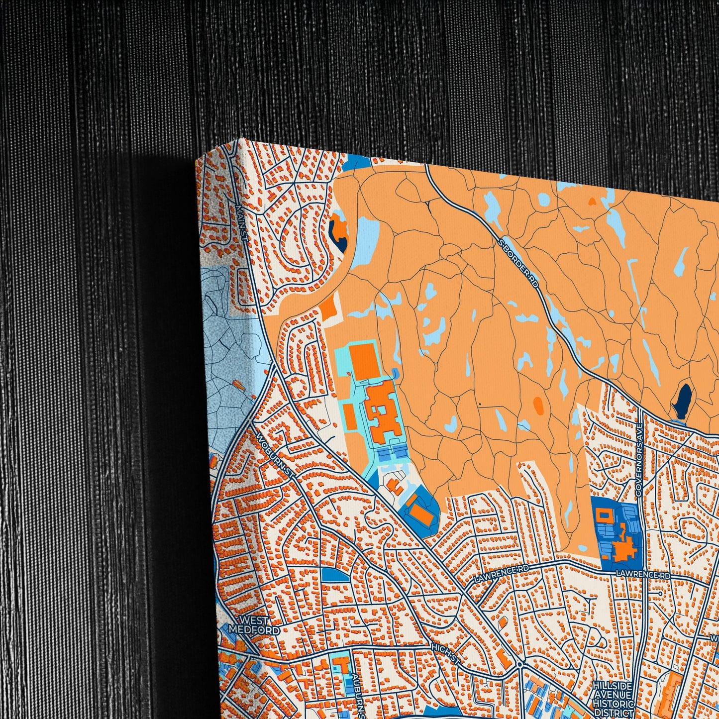 Medford Massachusetts Colorful City Map Canvas Print Detail