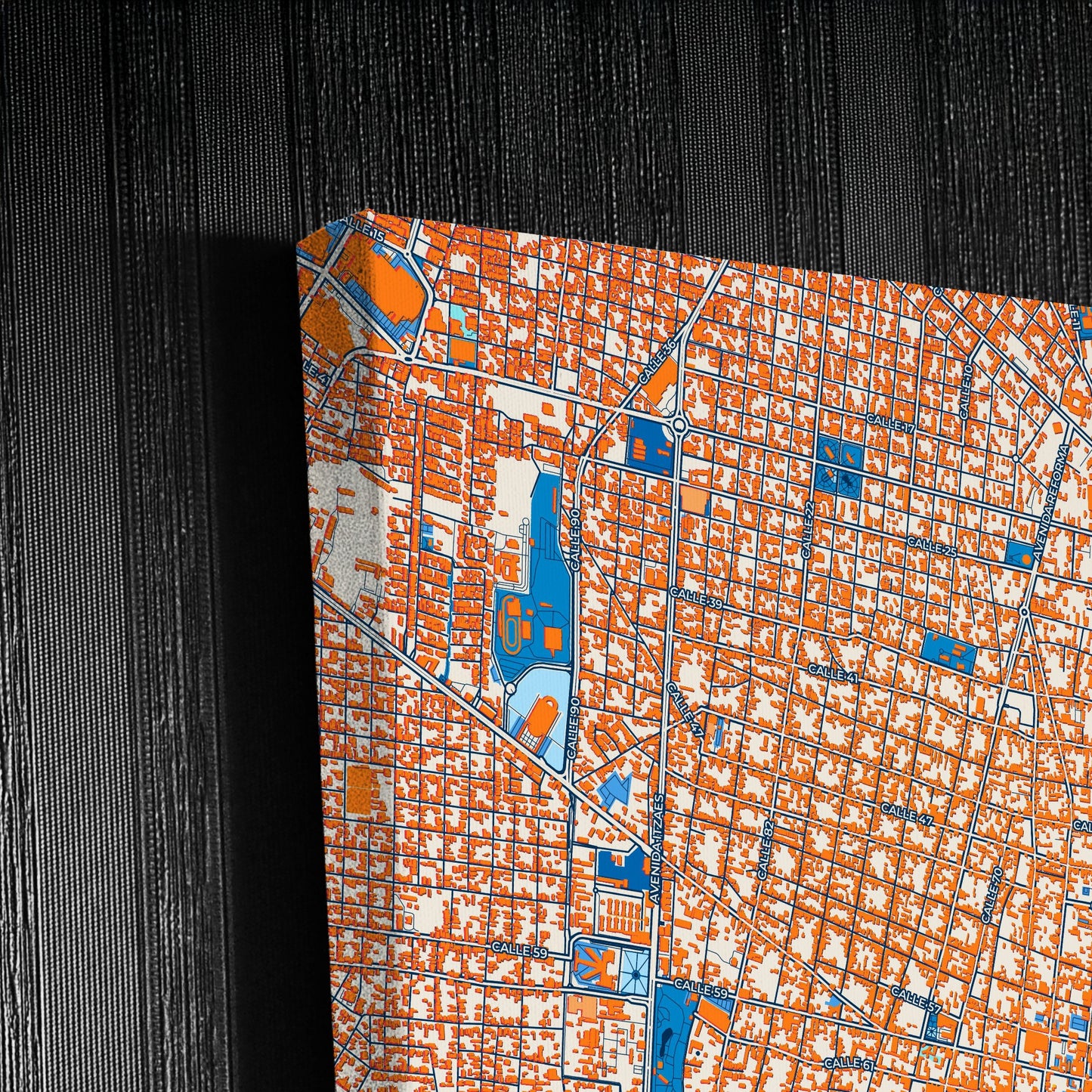 Mérida Mexico Colorful City Map Canvas Print Detail