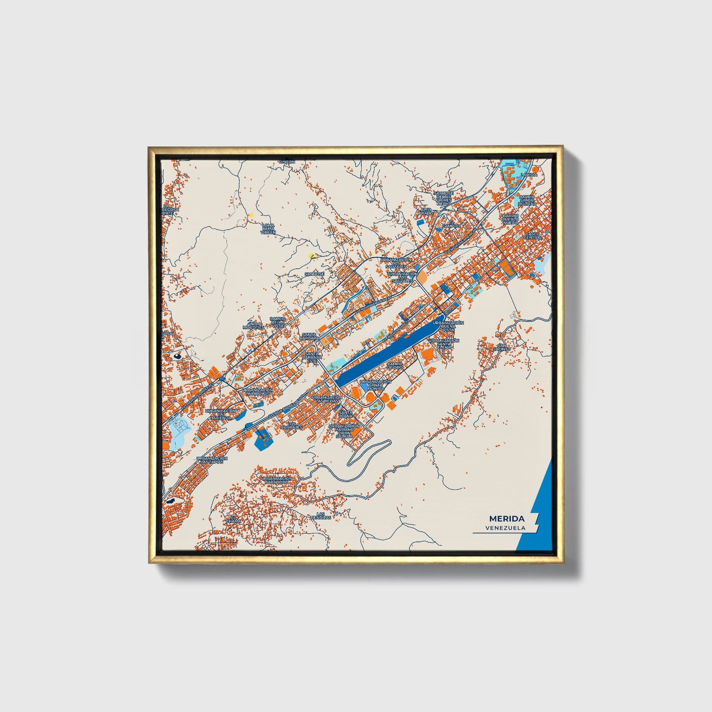 Merida Venezuela Colorful City Map Canvas Print • Gold Framed