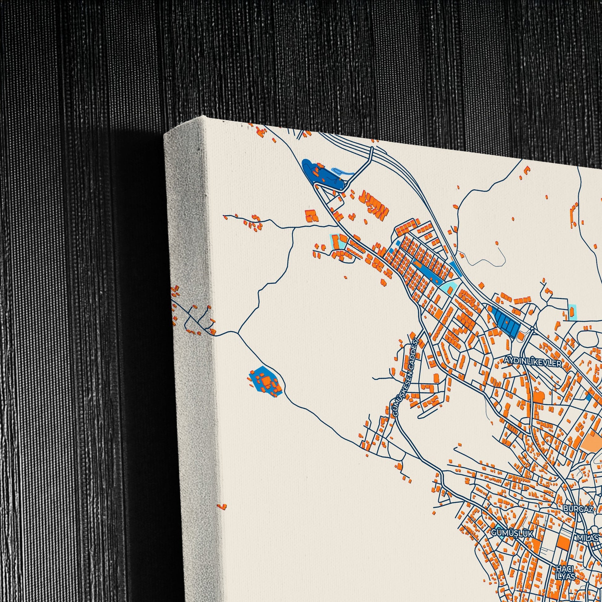 Mi̇las Turkey Colorful City Map Canvas Print Detail