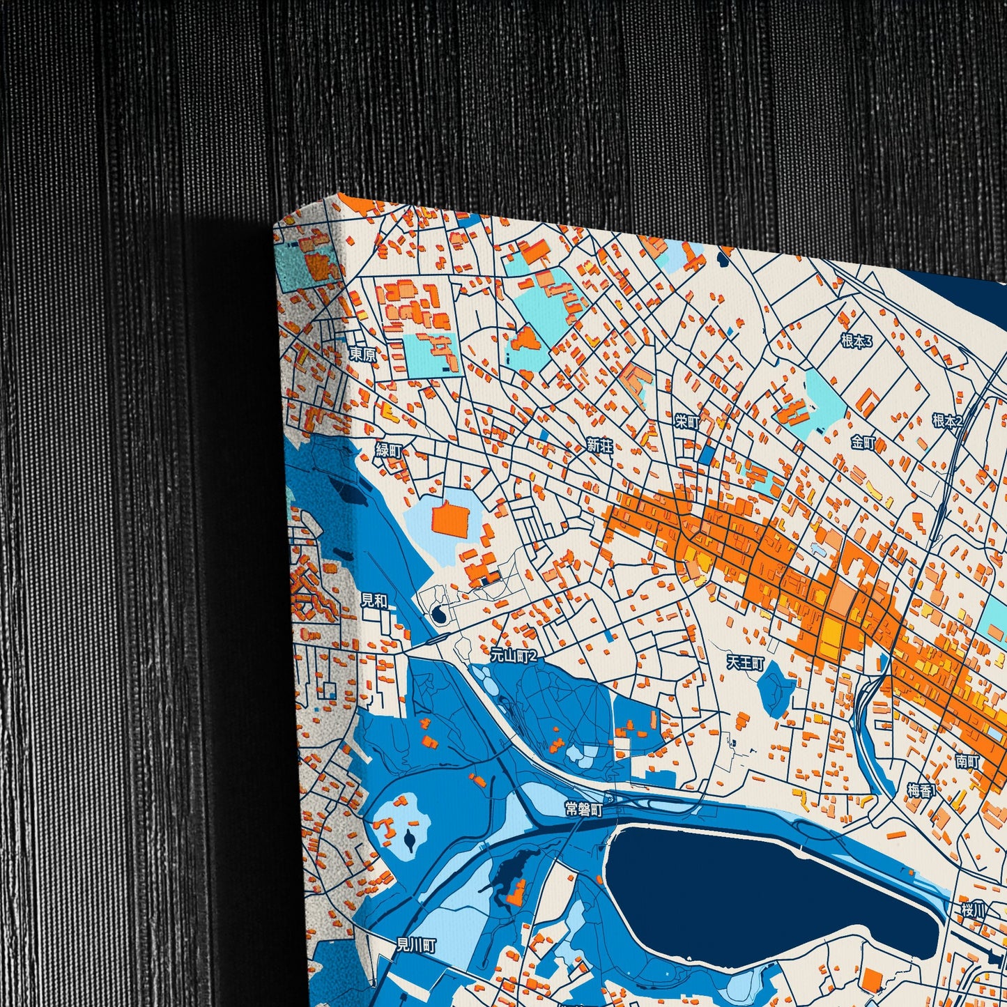 Mito Japan Colorful City Map Canvas Print Detail