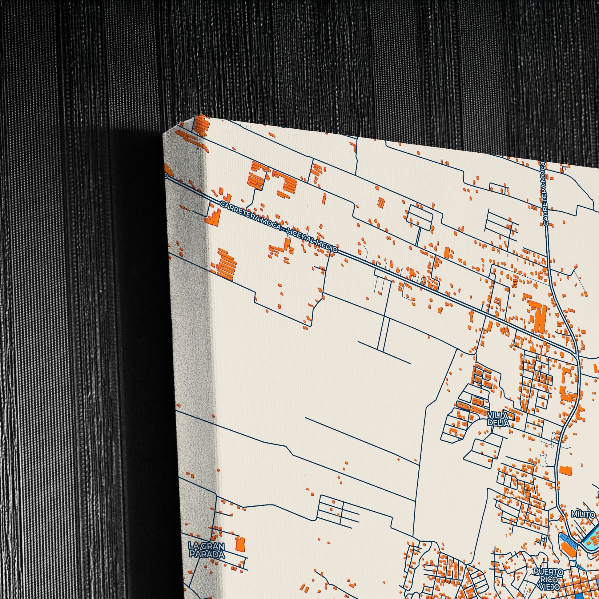 Moca Dominican Republic Colorful City Map Canvas Print Detail