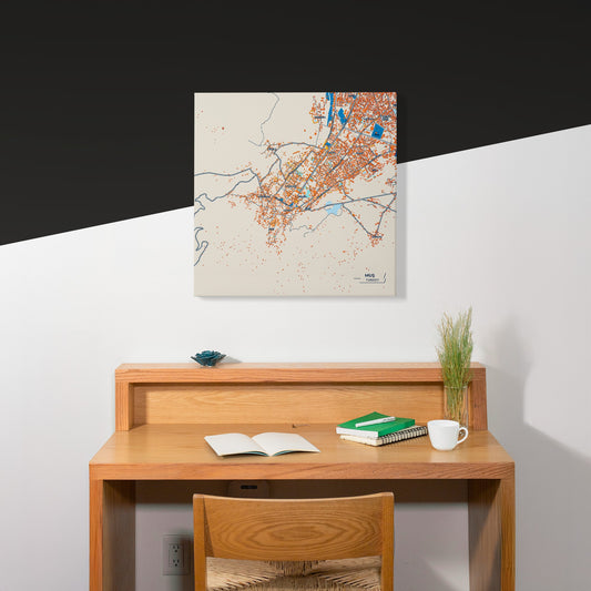 Muş Turkey Colorful City Map Canvas Print Scene