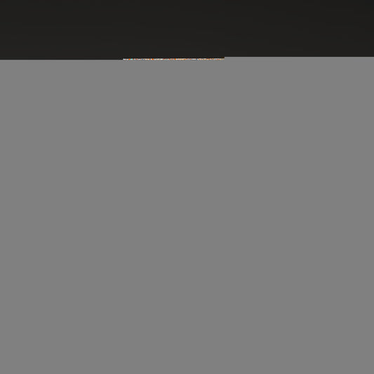 Nagoya Japan Colorful City Map Canvas Print Scene