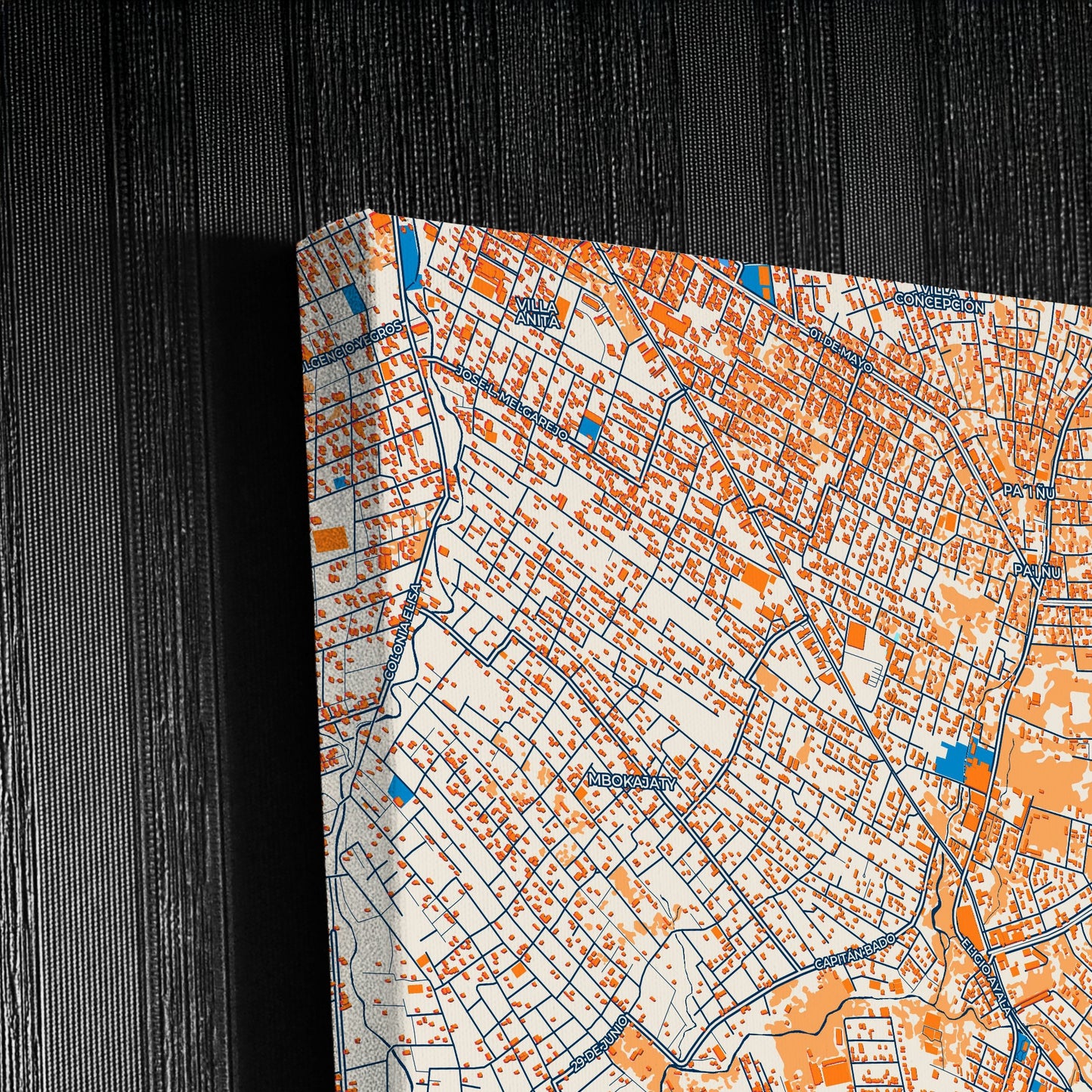 Nemby Paraguay Colorful City Map Canvas Print Detail