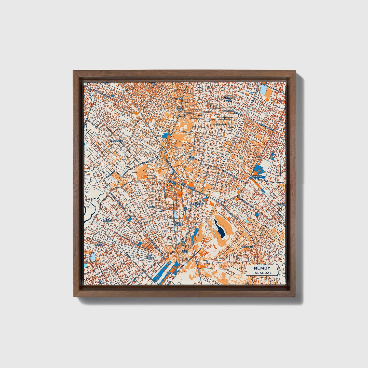 Nemby Paraguay Colorful City Map Canvas Print • Dark Wooden Framed