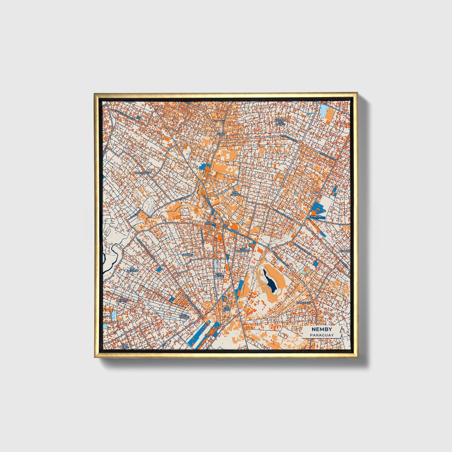 Nemby Paraguay Colorful City Map Canvas Print • Gold Framed