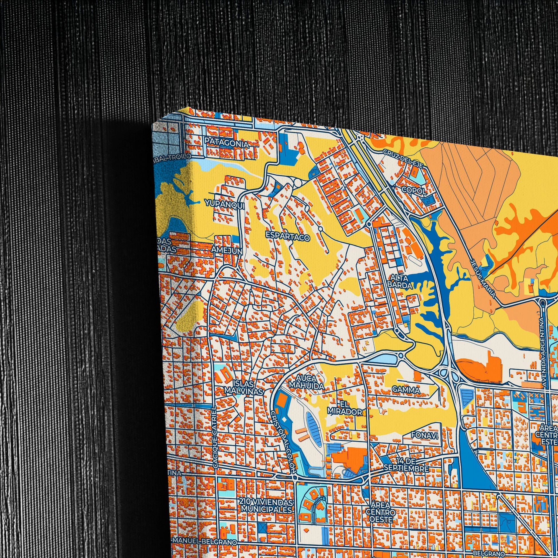 Neuquen Argentina Colorful City Map Canvas Print Detail
