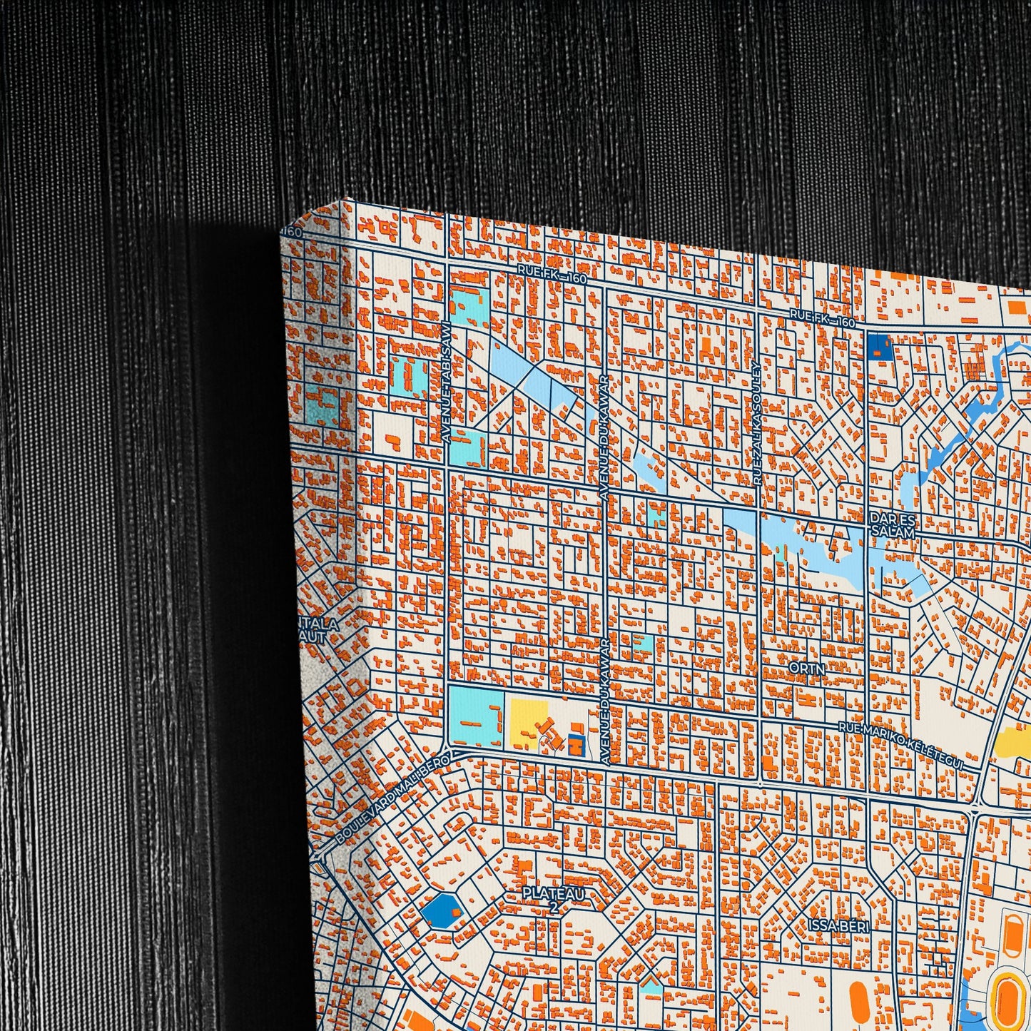 Niamey Niger Colorful City Map Canvas Print Detail
