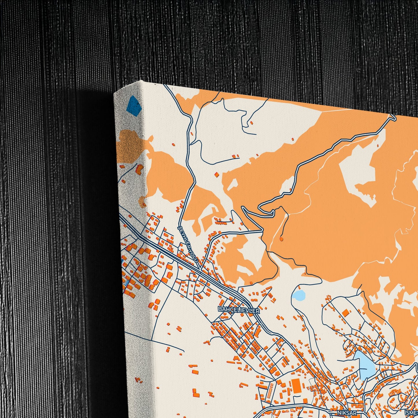 Ni̇ksar Turkey Colorful City Map Canvas Print Detail