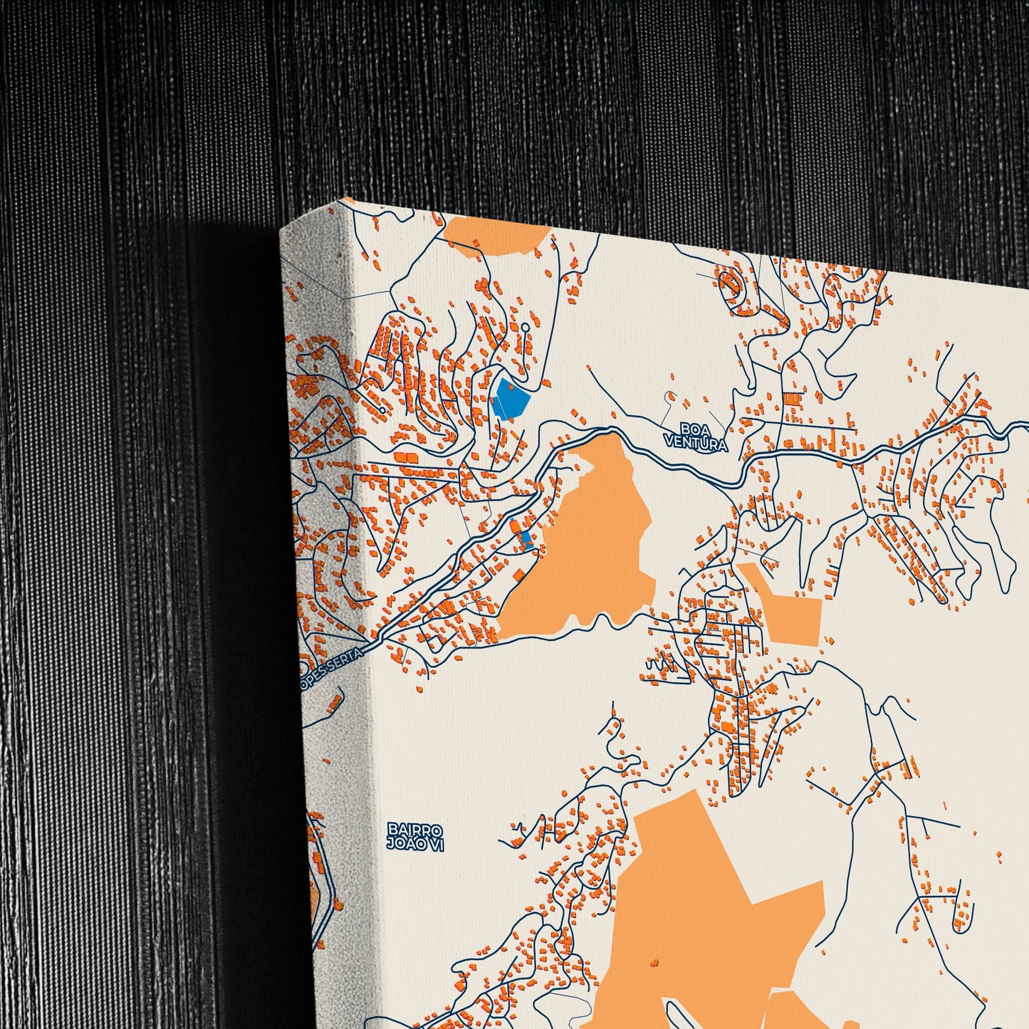 Nova Friburgo Brazil Colorful City Map Canvas Print Detail