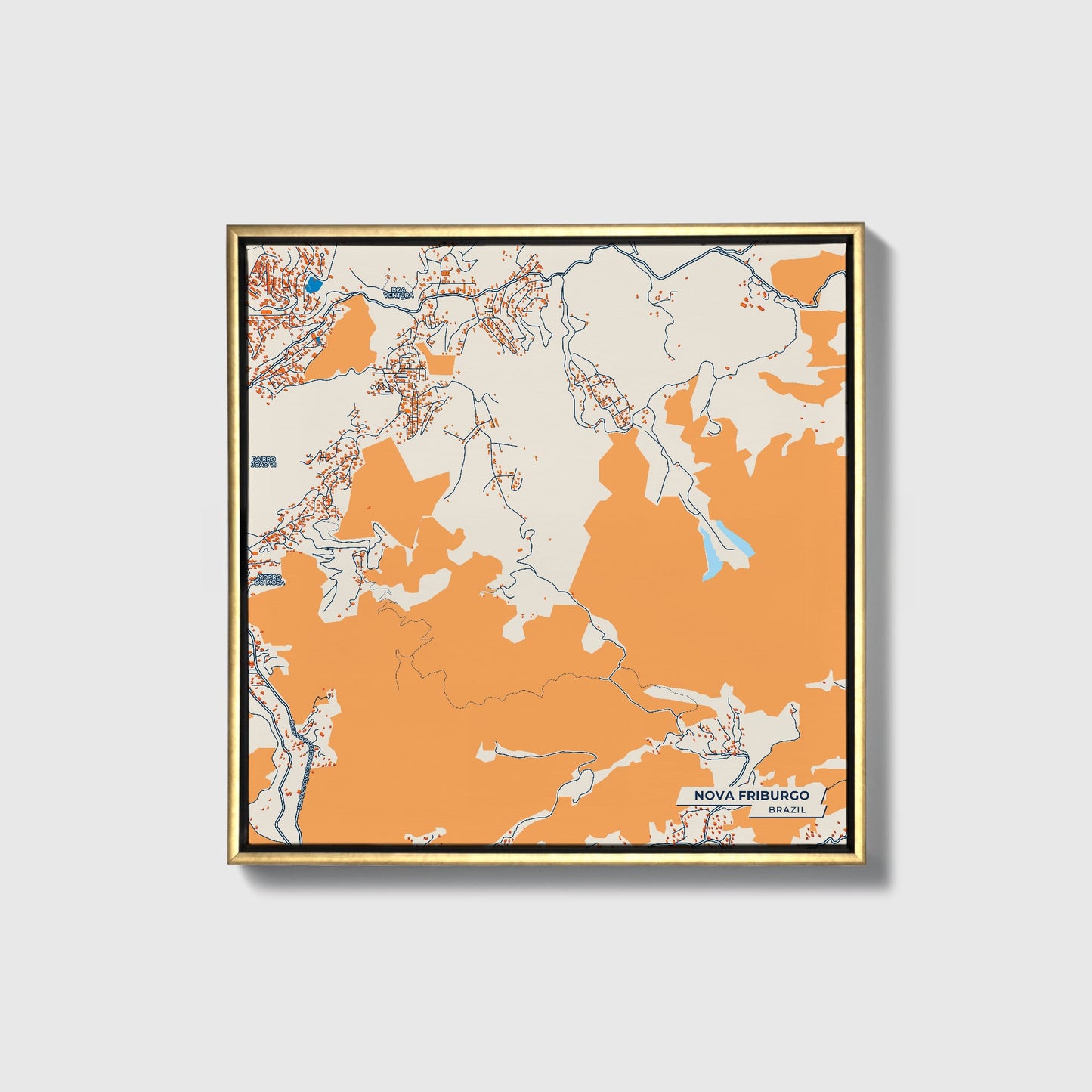 Nova Friburgo Brazil Colorful City Map Canvas Print • Gold Framed