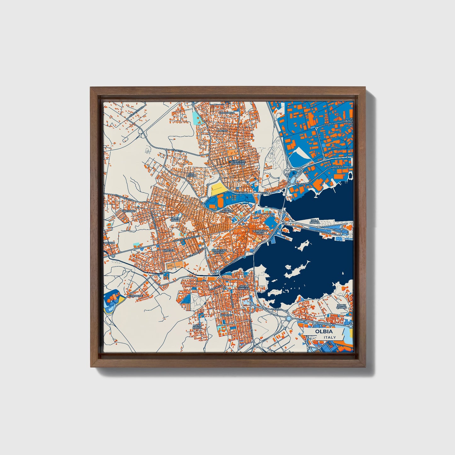 Olbia Italy Colorful City Map Canvas Print • Dark Wooden Framed