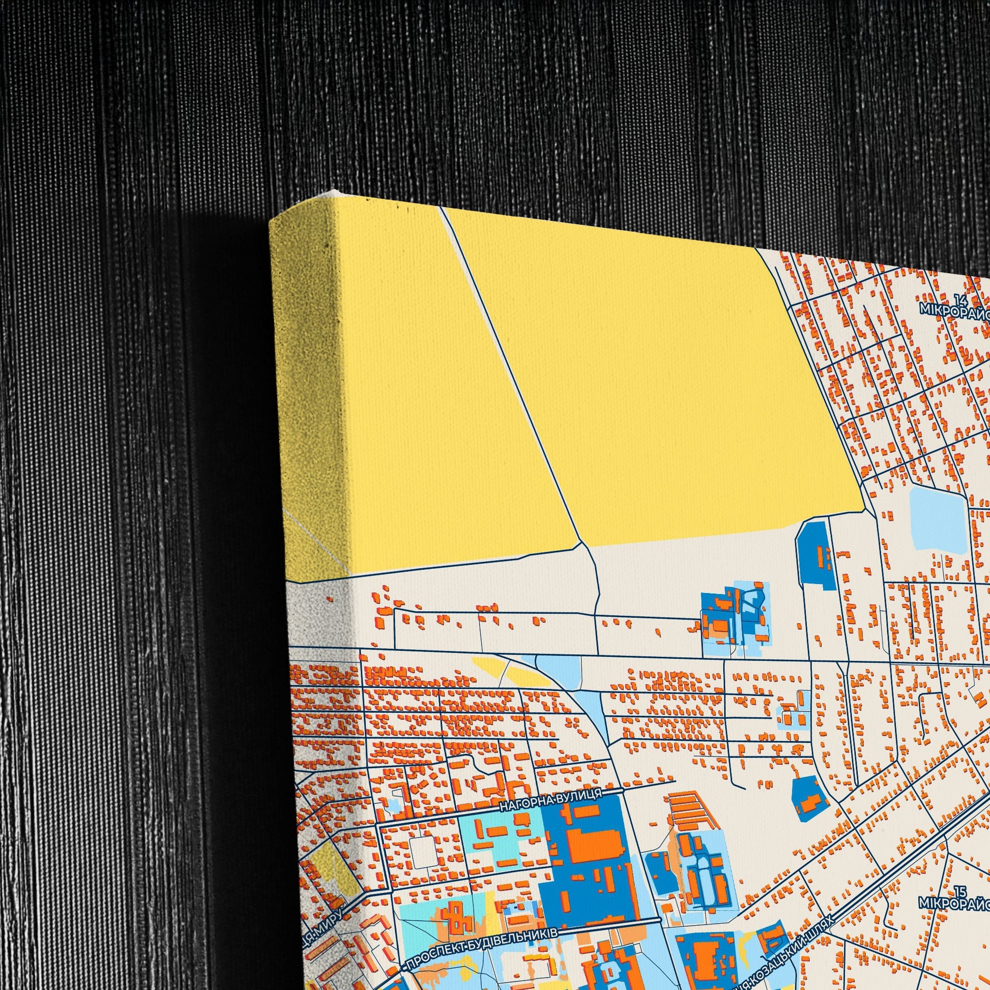 Олександрія Ukraine Colorful City Map Canvas Print Detail