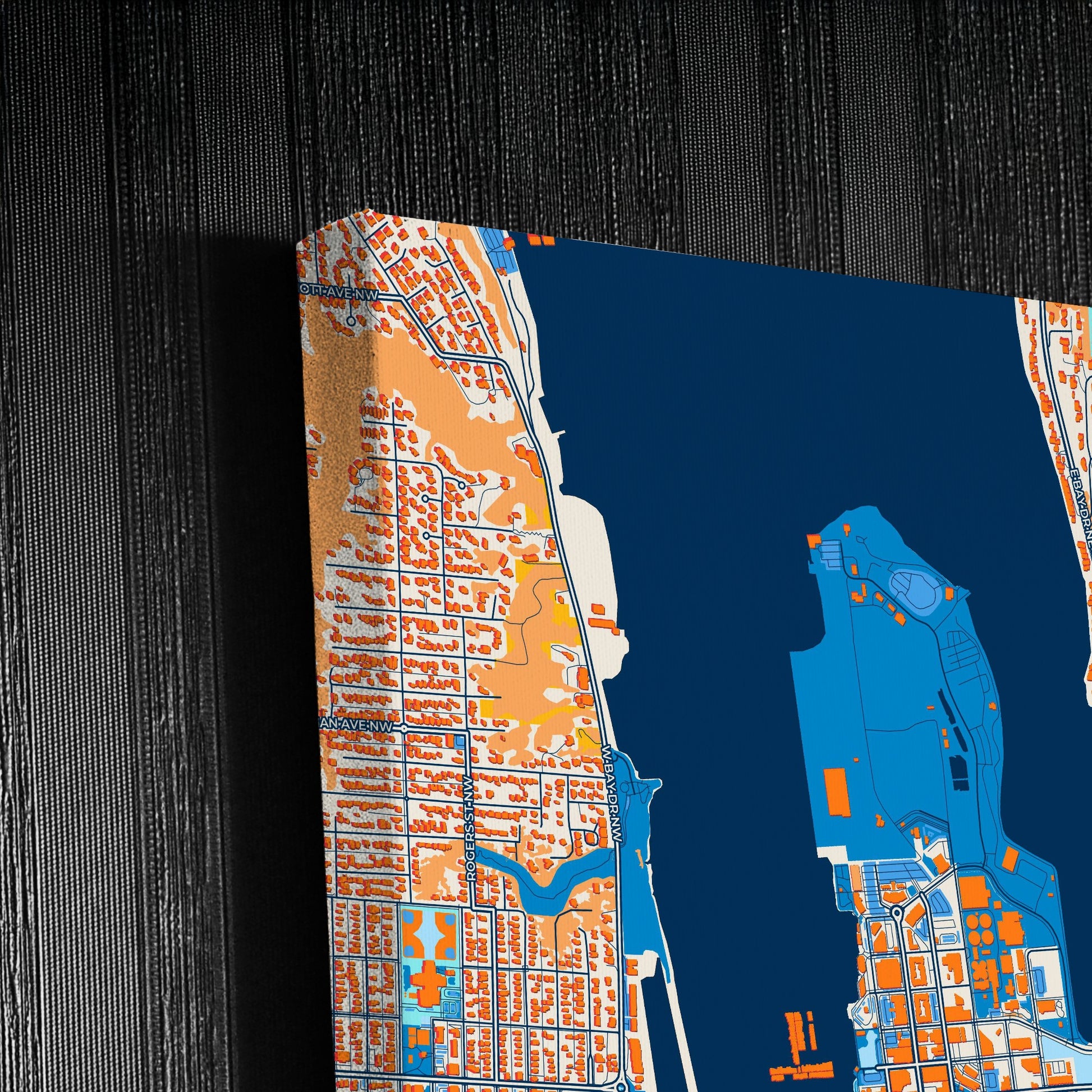Olympia Washington Colorful City Map Canvas Print Detail