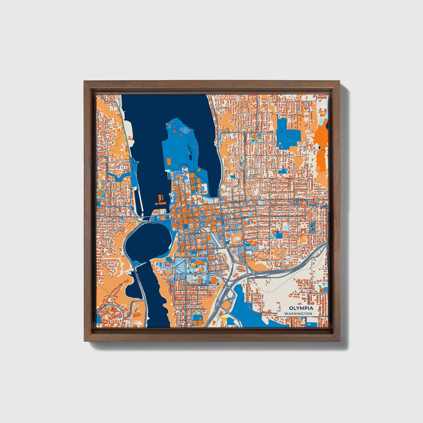 Olympia Washington Colorful City Map Canvas Print • Dark Wooden Framed