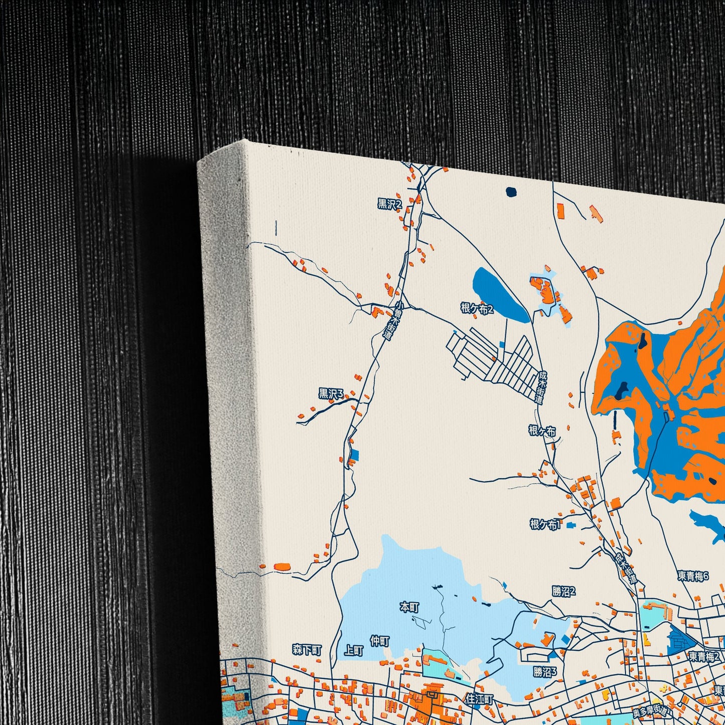 Ōme Japan Colorful City Map Canvas Print Detail