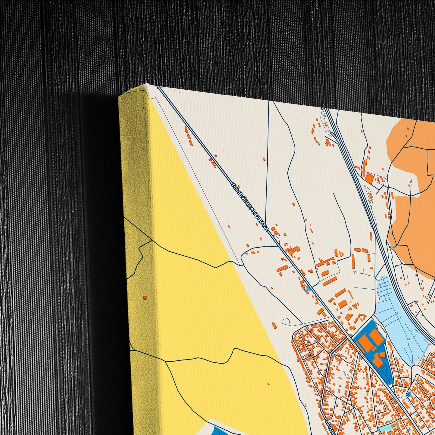 Параћин Serbia Colorful City Map Canvas Print Detail